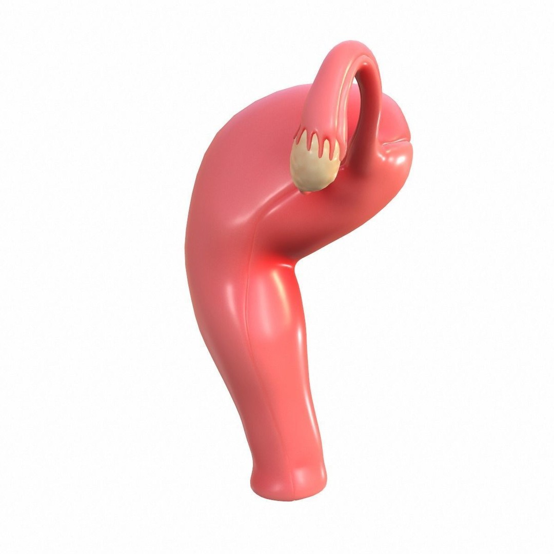 Female Reproductive System 3D Model – Realistic Anatomy Asset, FBX, OBJ - View 8