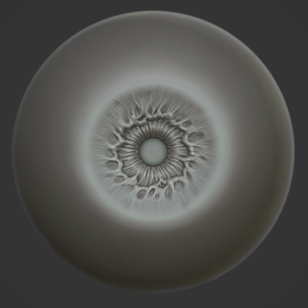 Human Eye 3D Model – Realistic Anatomical Sculpt, FBX, PBR - View 4