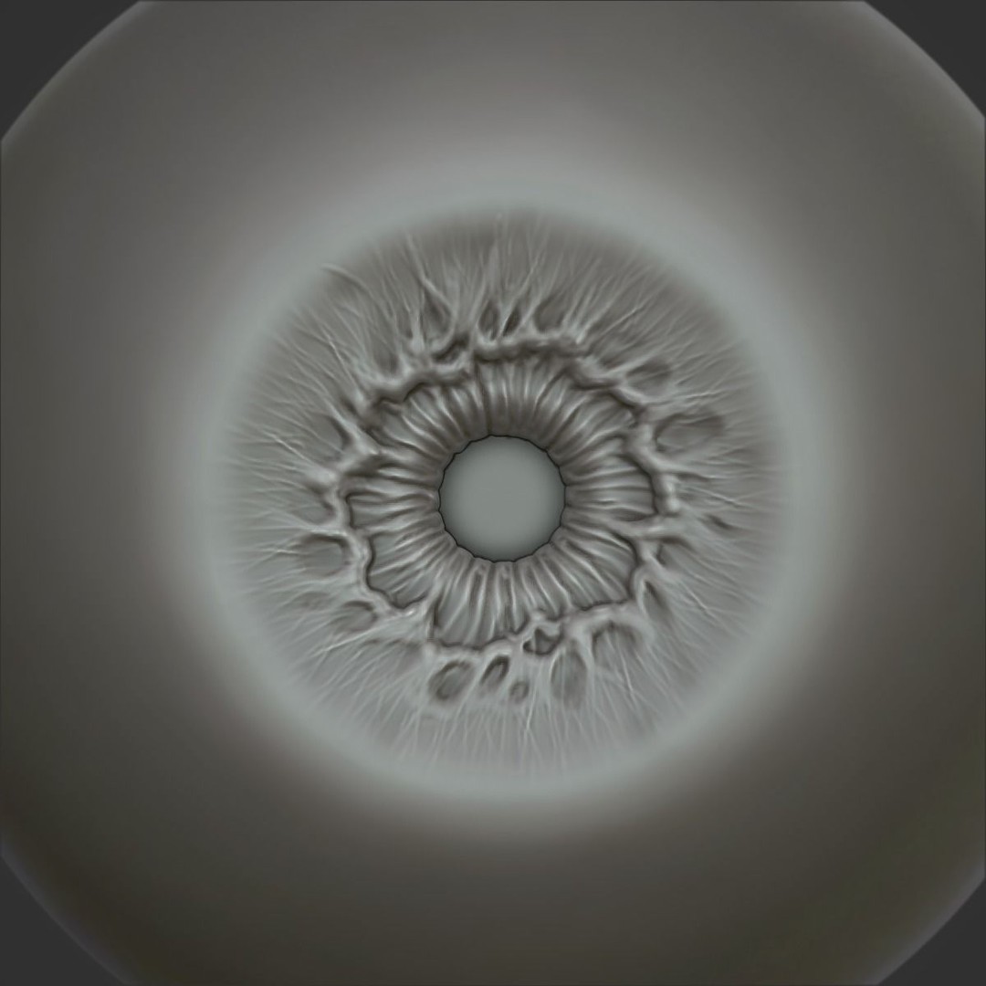 Human Eye 3D Model – Realistic Anatomical Sculpt, FBX, PBR - View 5