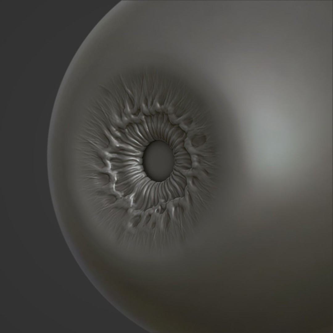 Human Eye 3D Model – Realistic Anatomical Sculpt, FBX, PBR - View 6