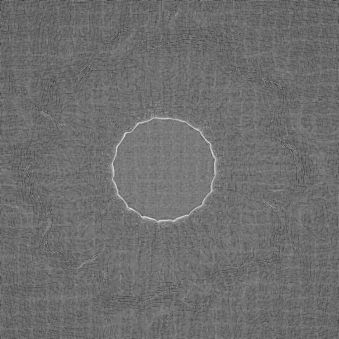 Human Eye 3D Model – Realistic Anatomical Sculpt, FBX, PBR - View 7