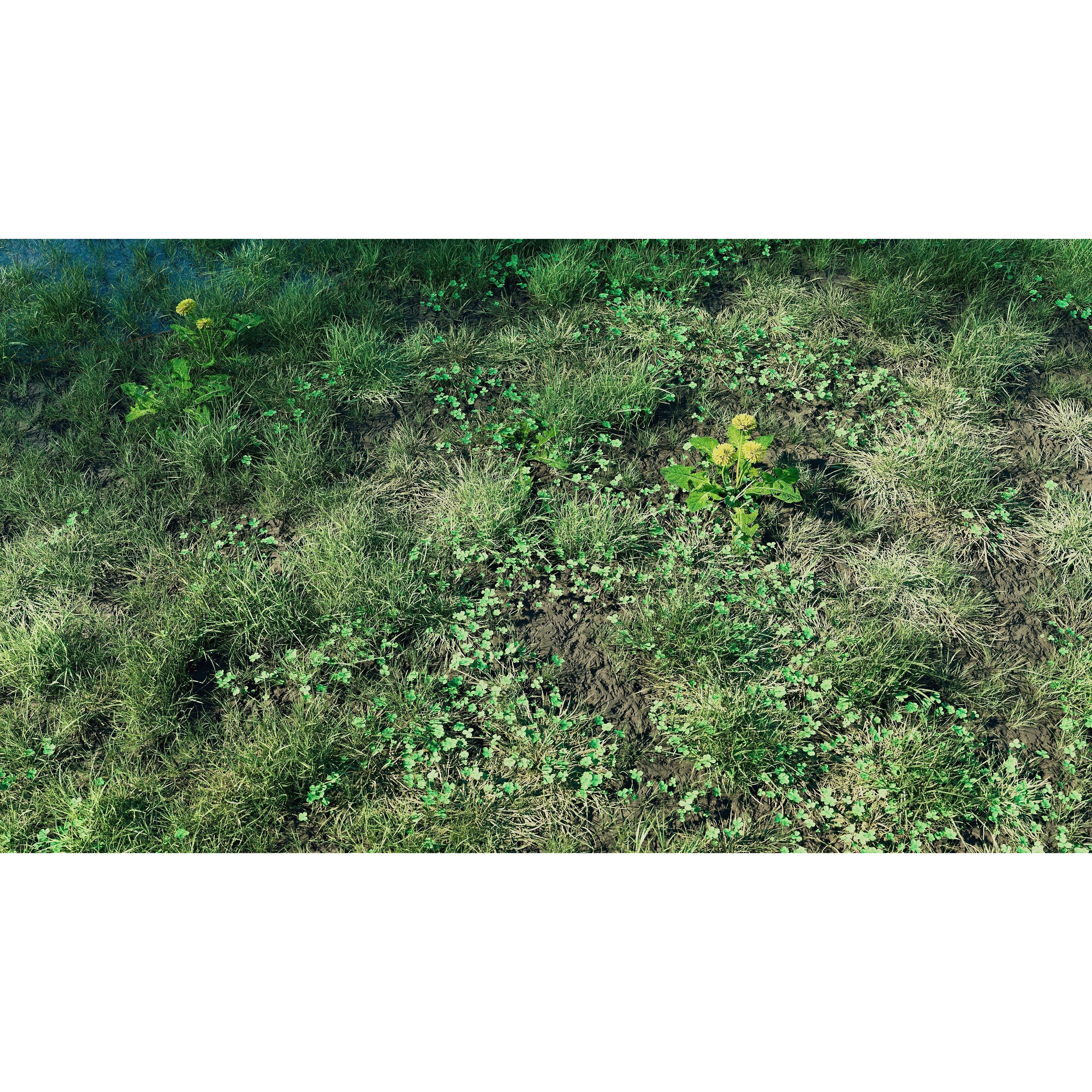 CGrass 2.0 - Low-Poly Game-Ready 3D Model - View 10