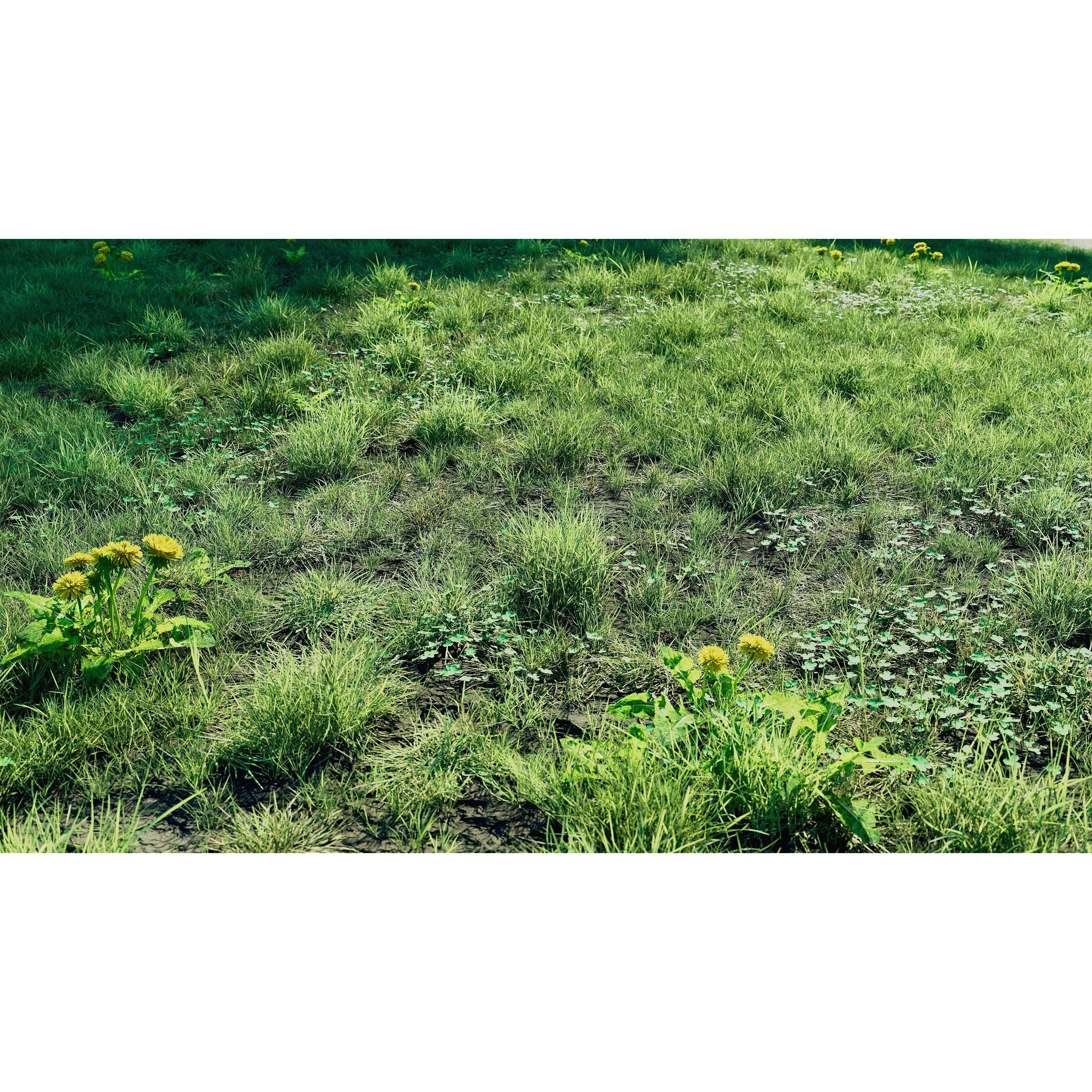 CGrass 2.0 - Low-Poly Game-Ready 3D Model - View 11