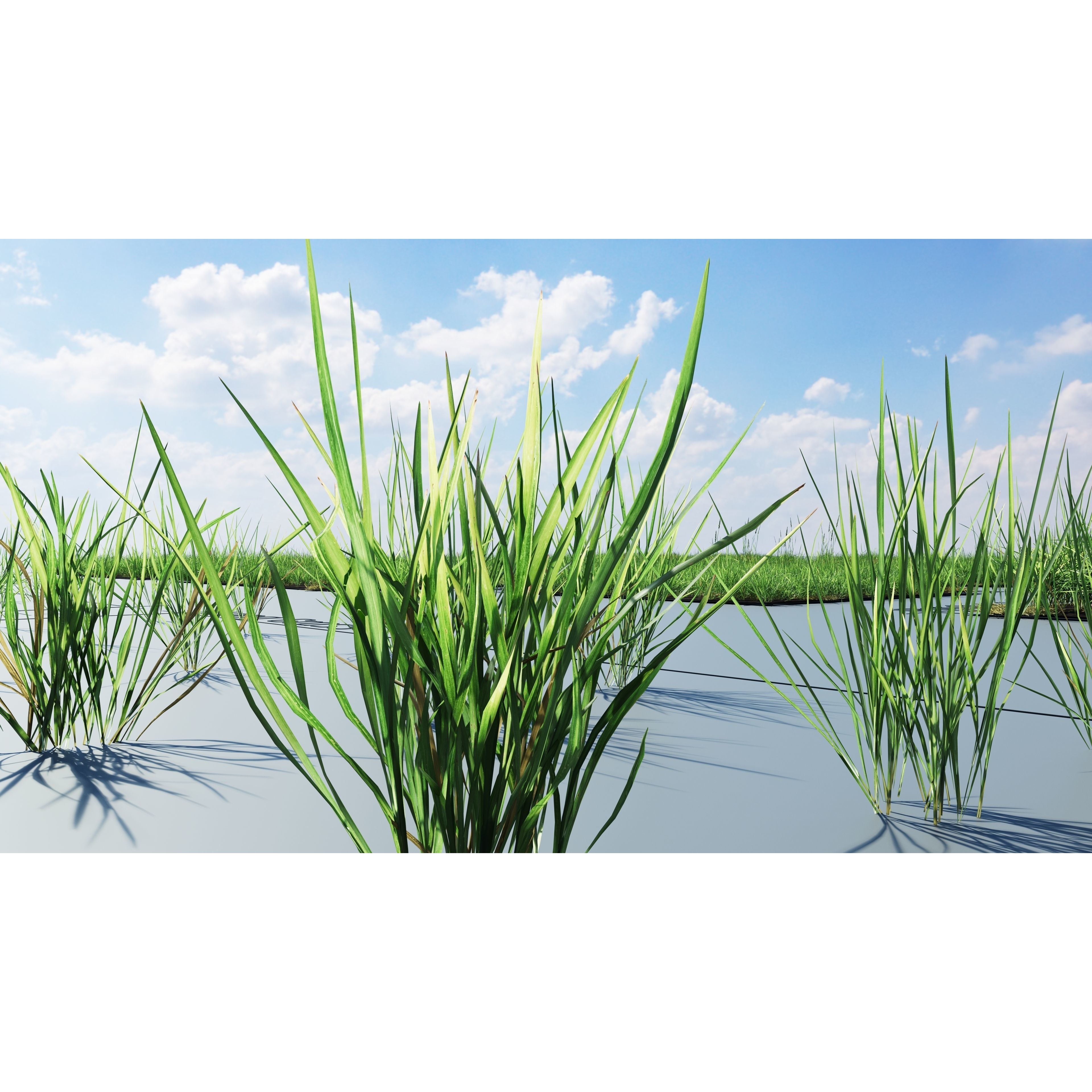 CGrass 2.0 - Low-Poly Game-Ready 3D Model - View 12