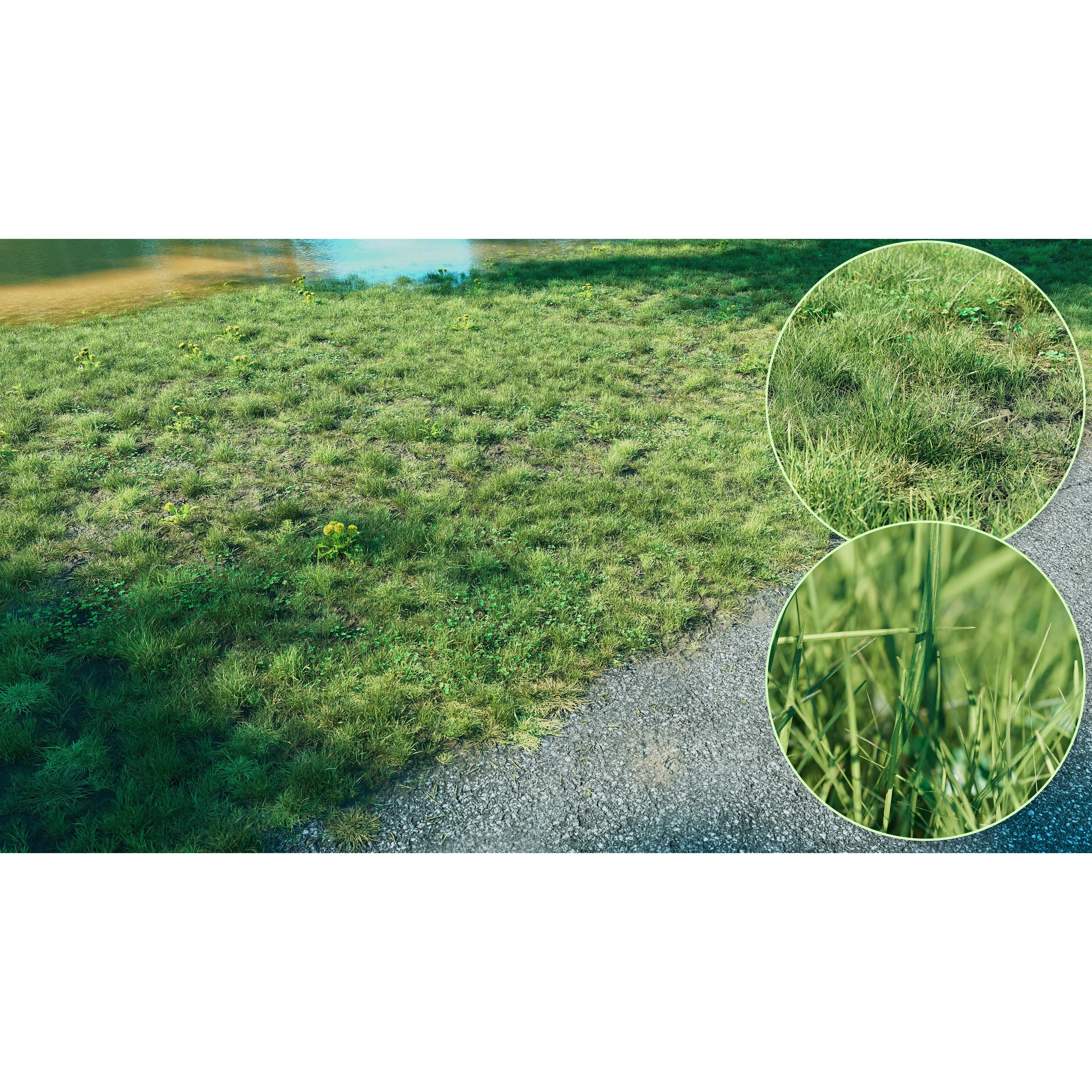 CGrass 2.0 - Low-Poly Game-Ready 3D Model - View 2