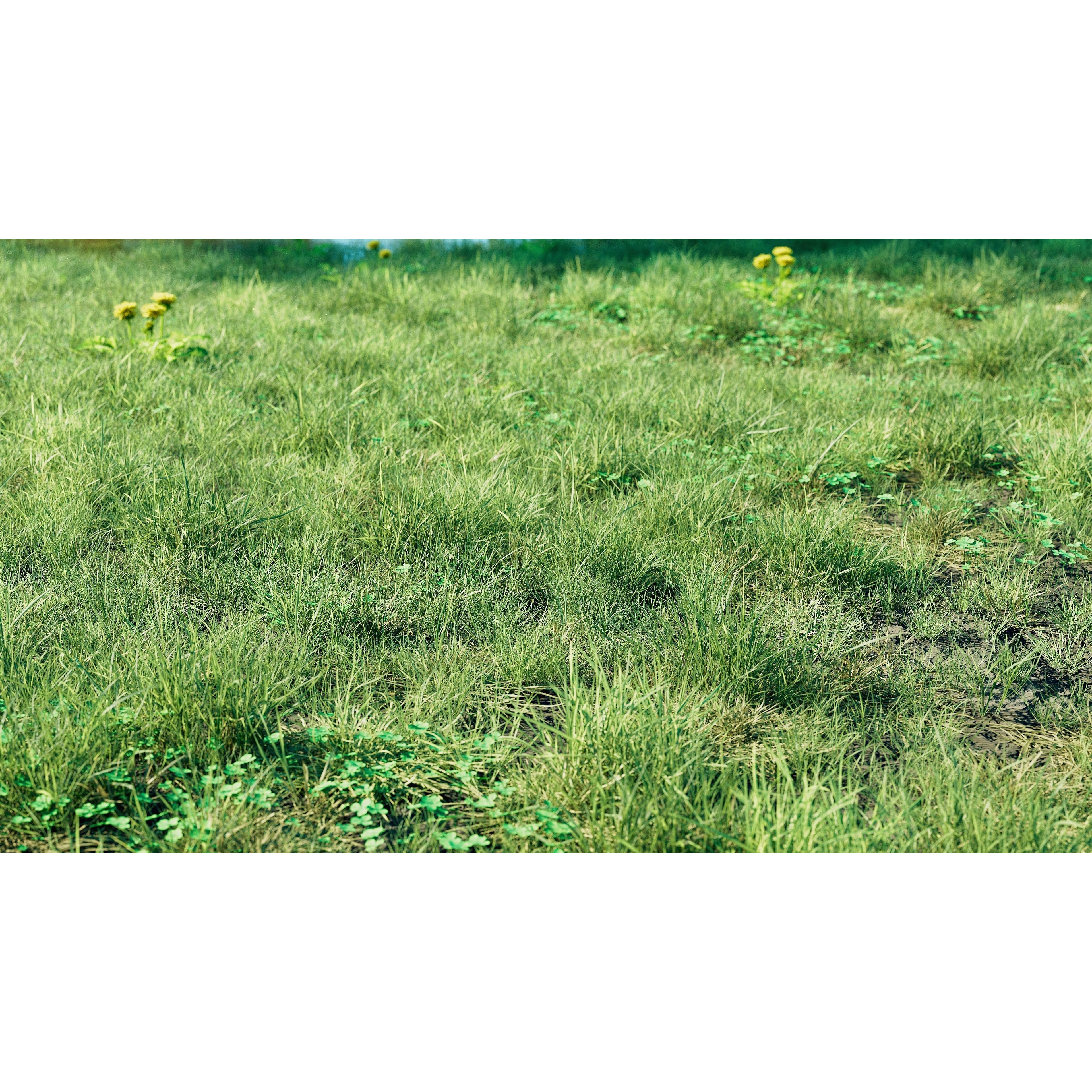 CGrass 2.0 - Low-Poly Game-Ready 3D Model - View 5