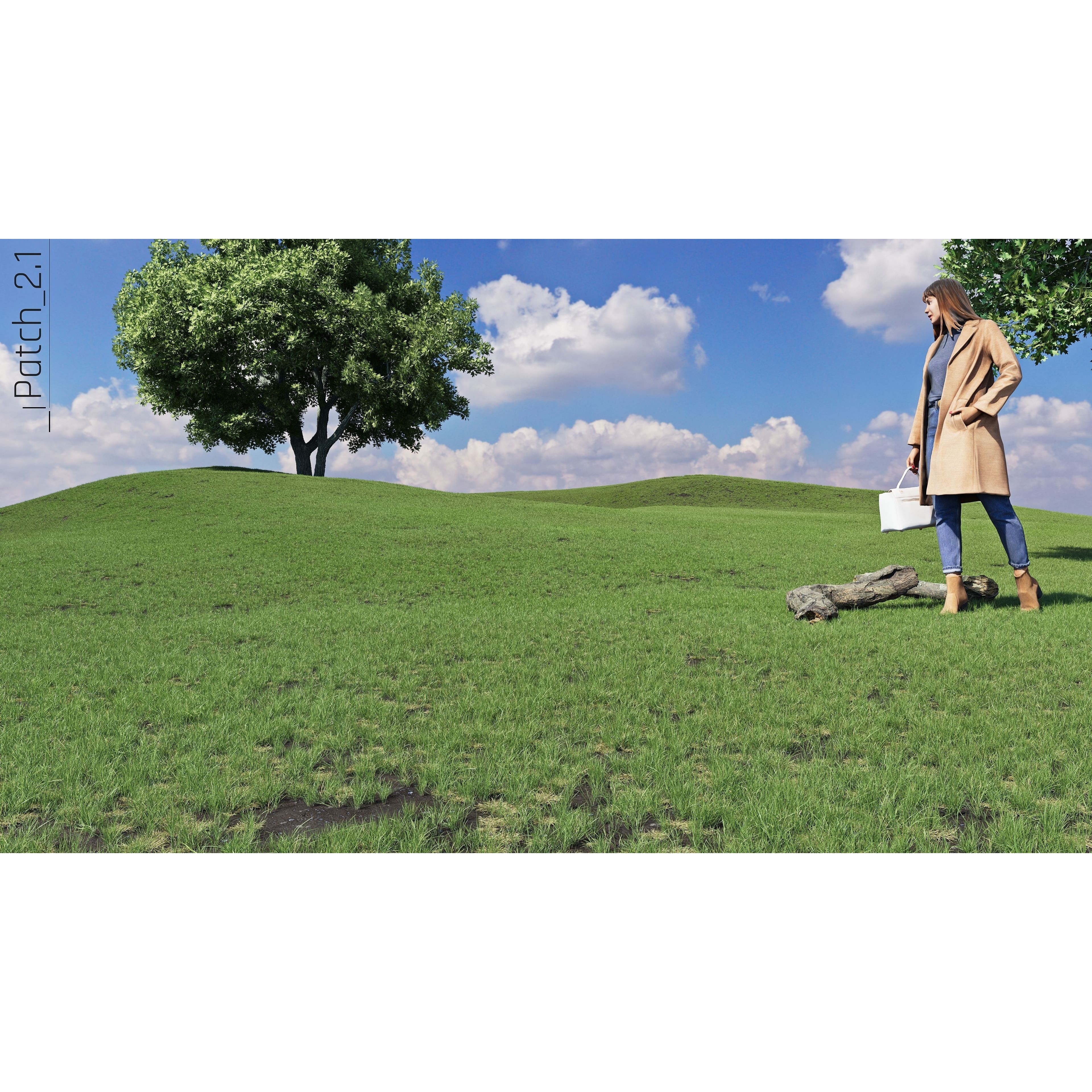 CGrass 2.0 - Low-Poly Game-Ready 3D Model - View 52