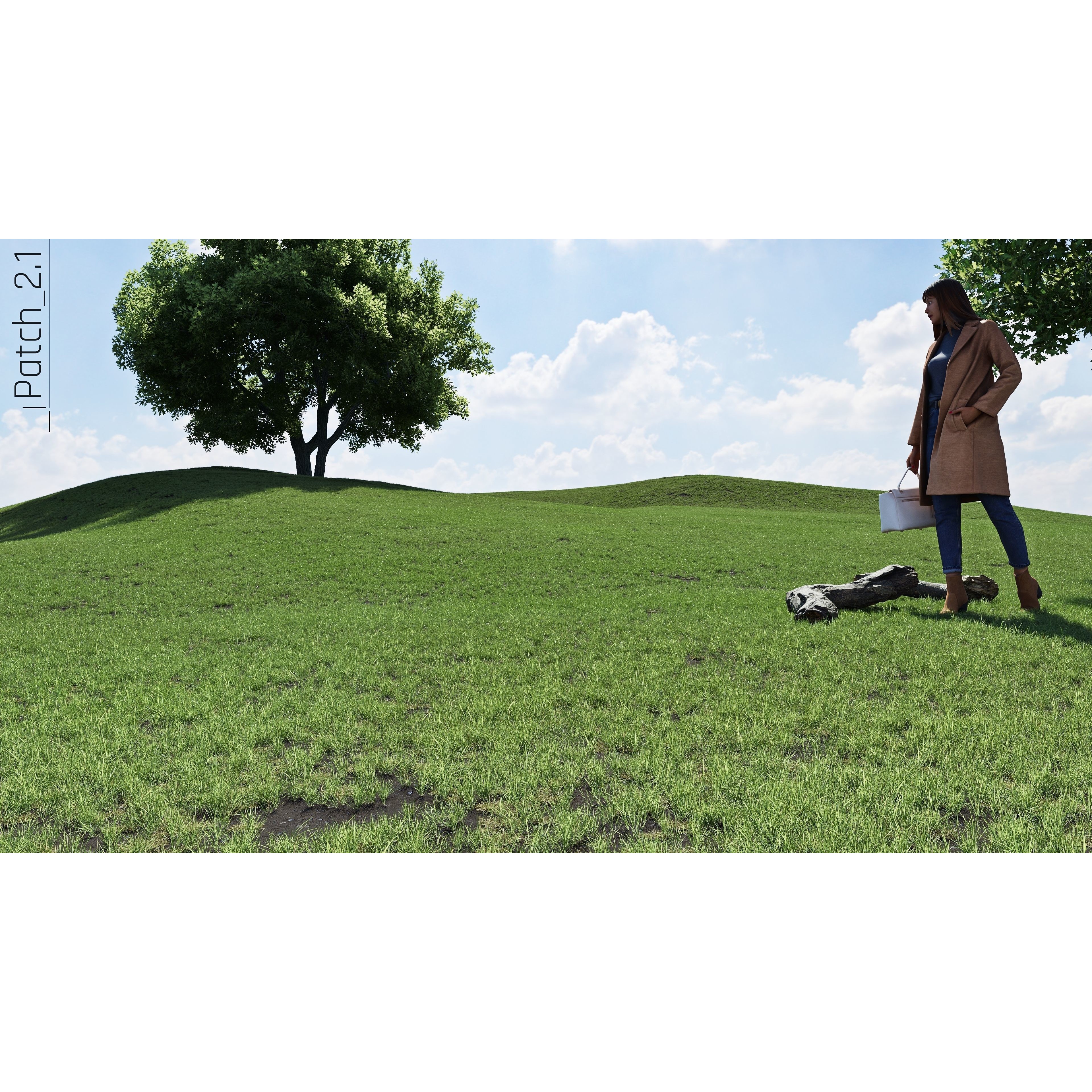 CGrass 2.0 - Low-Poly Game-Ready 3D Model - View 59