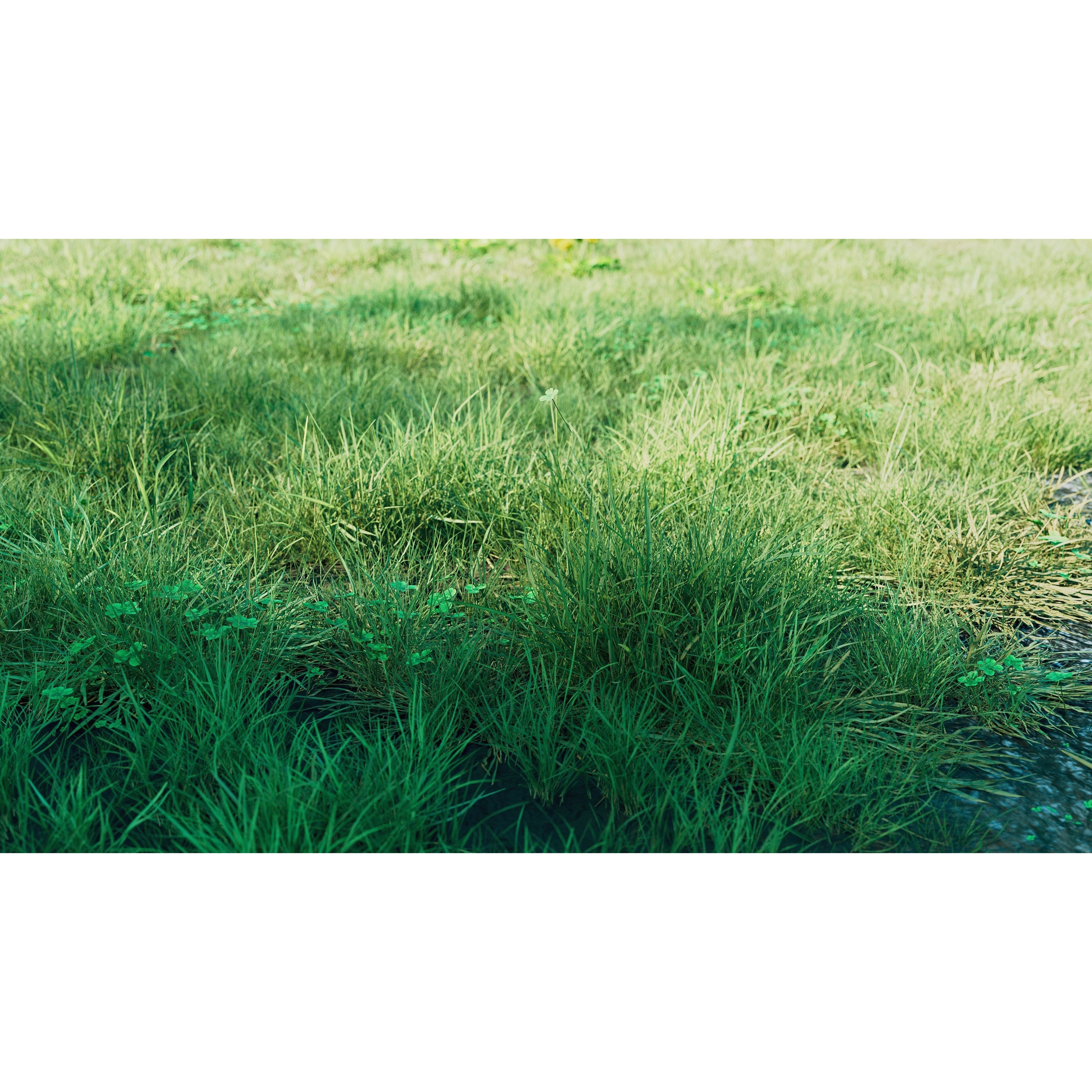 CGrass 2.0 - Low-Poly Game-Ready 3D Model - View 7