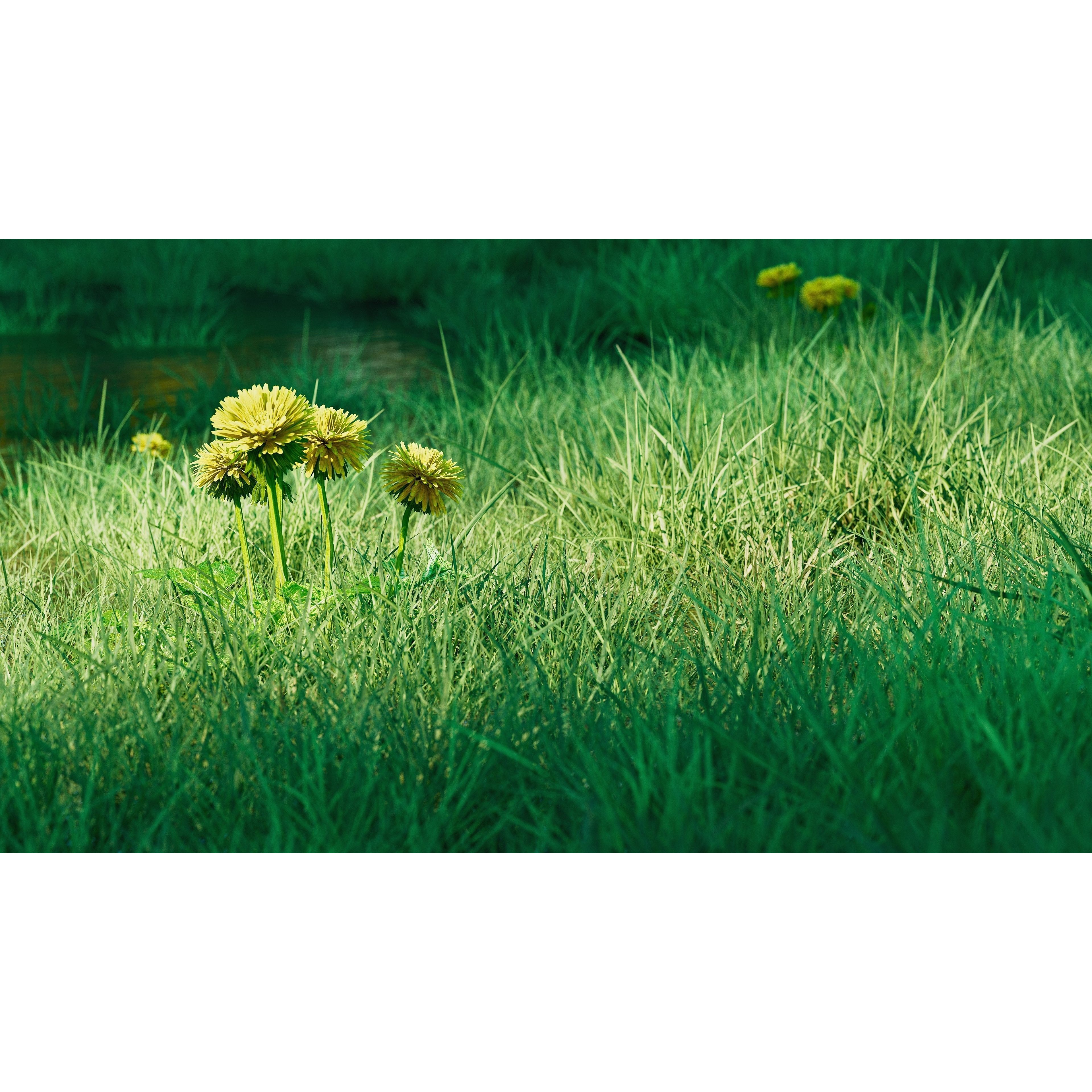 CGrass 2.0 - Low-Poly Game-Ready 3D Model - View 8