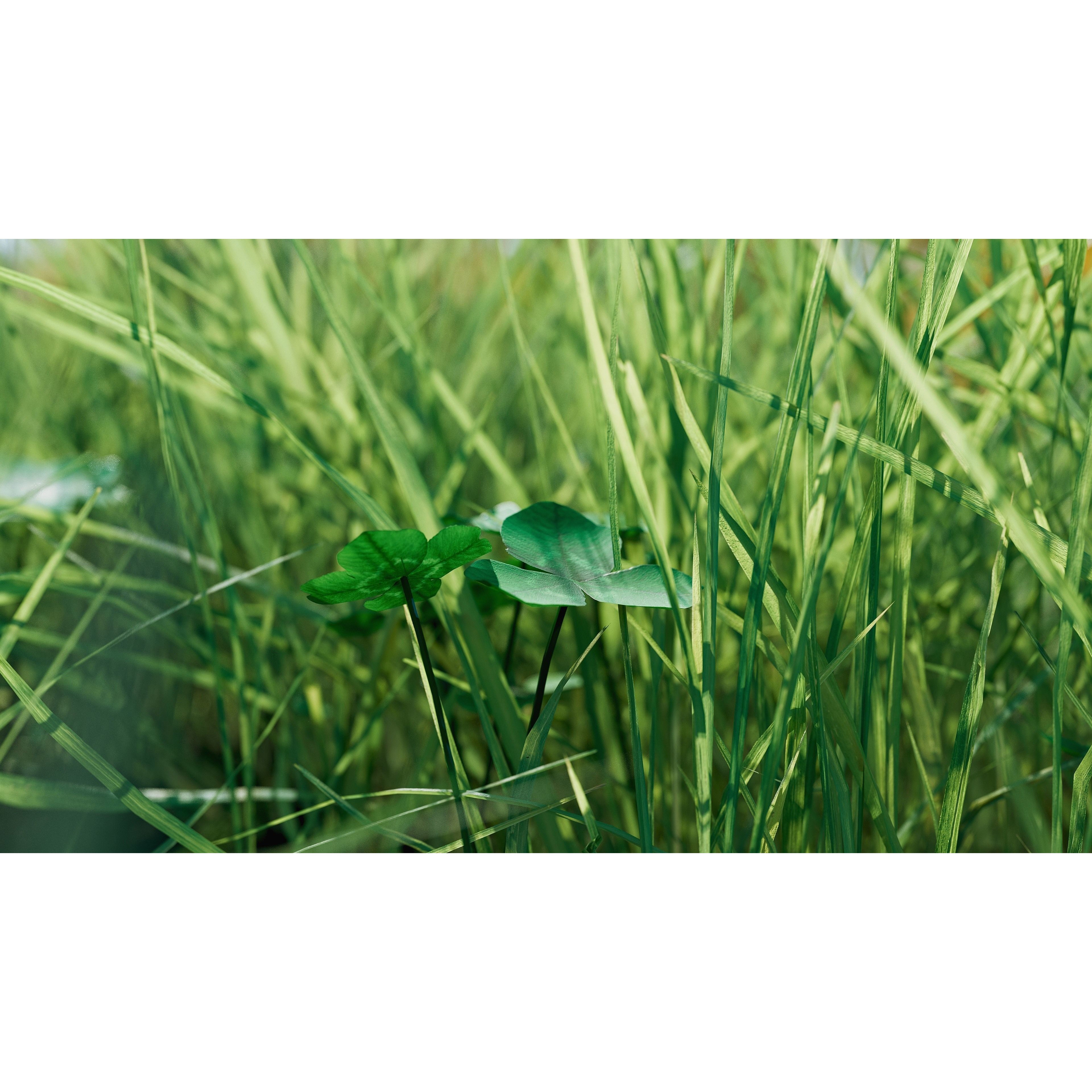 CGrass 2.0 - Low-Poly Game-Ready 3D Model - View 9