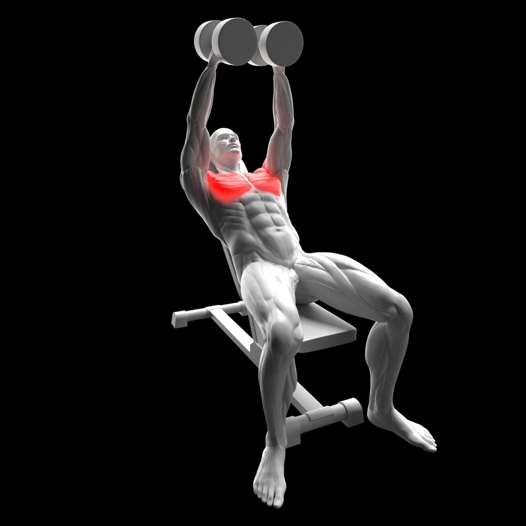 Chest Exercises 3D Model – Animated Gym Character with Rigging - View 4