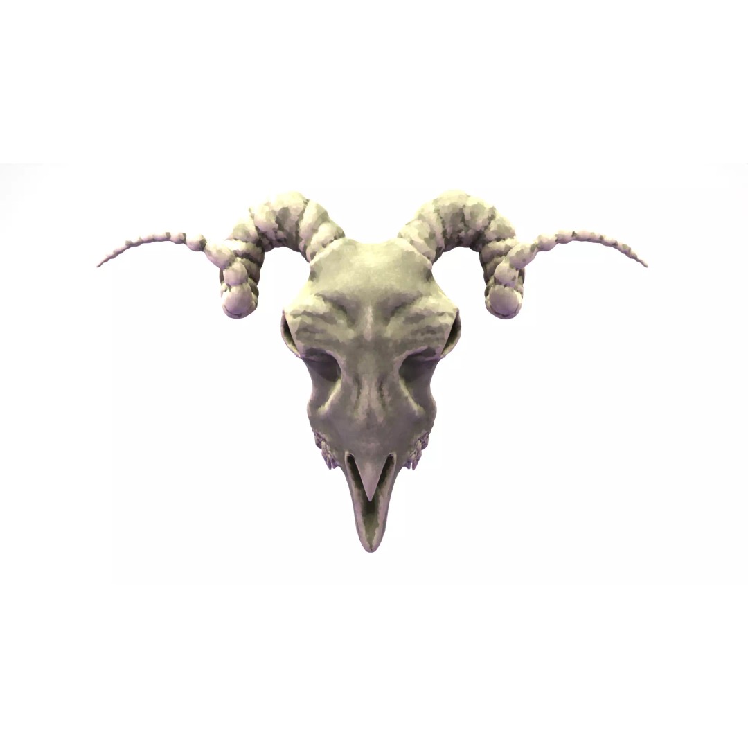 Ram Skull 3D Model – Low Poly PBR Game Asset, FBX, Blender - View 2
