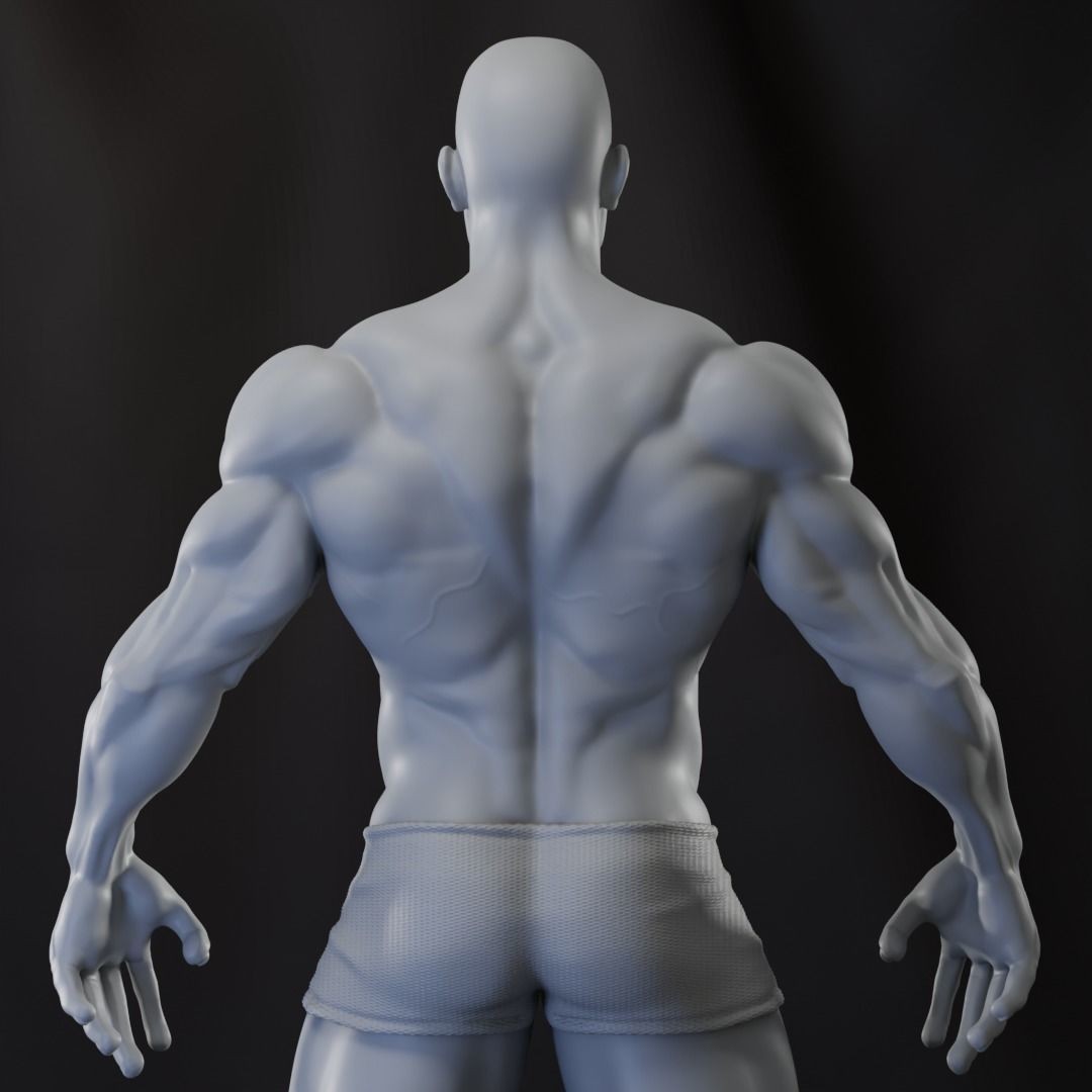 Strong Male Anatomy 3D Model – High Poly Game Asset, FBX, OBJ