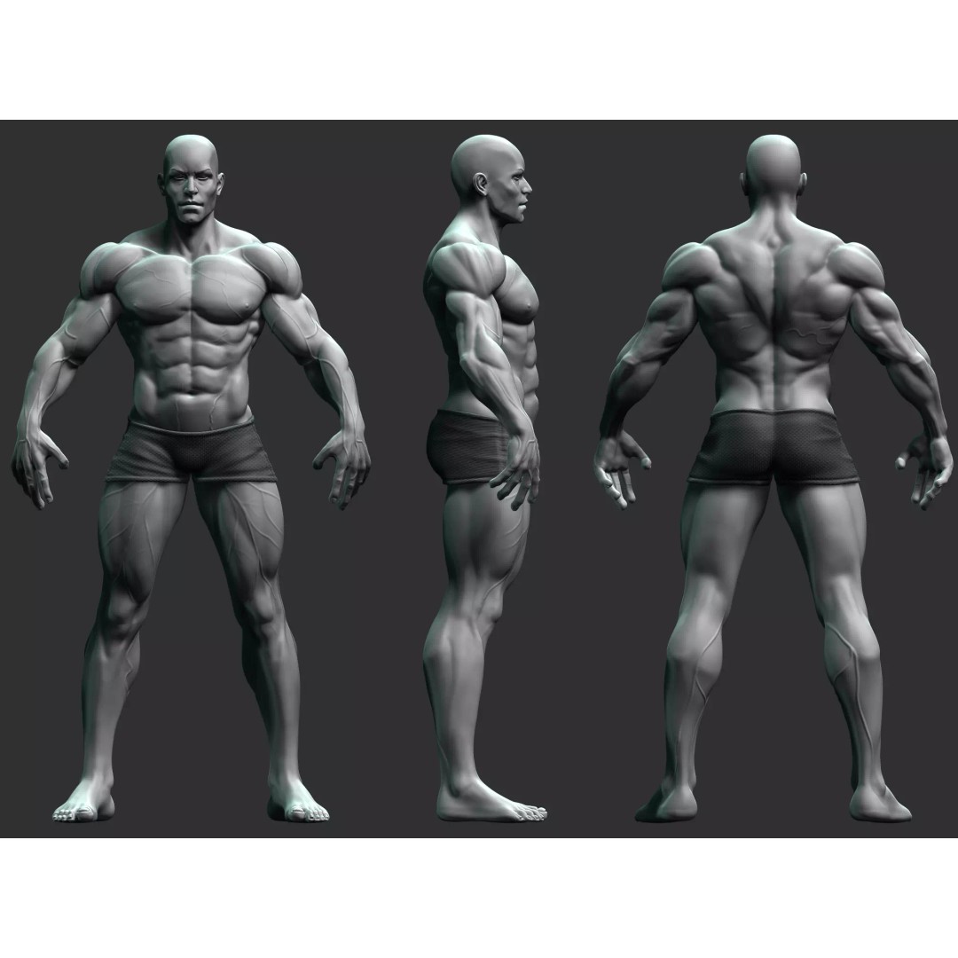 Strong Male Anatomy 3D Model – High Poly Game Asset, FBX, OBJ - View 2