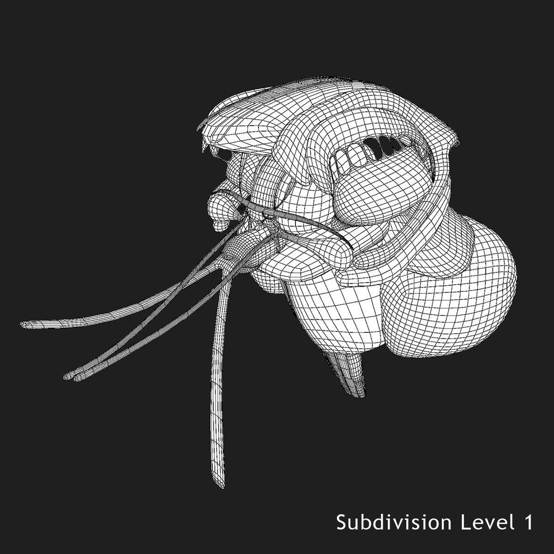 Detailed Human Brain 3D Model – High Poly Anatomy Asset, FBX/OBJ