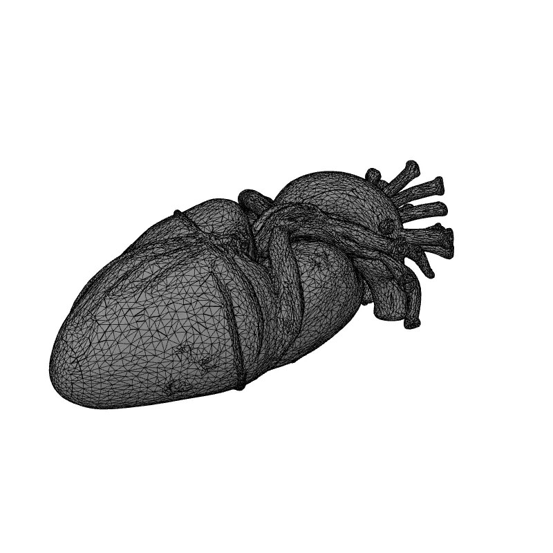 Stylized Human Heart 3D Model – Low Poly Gothic Asset, FBX, PBR