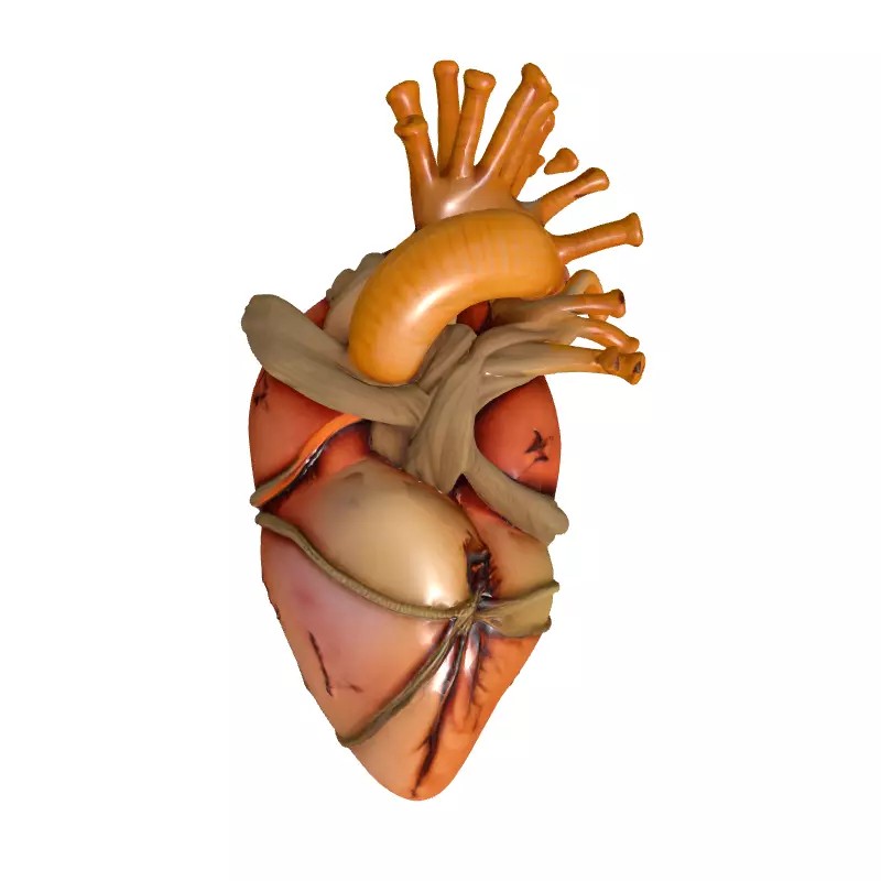 Stylized Human Heart 3D Model – Low Poly Gothic Asset, FBX, PBR - View 10