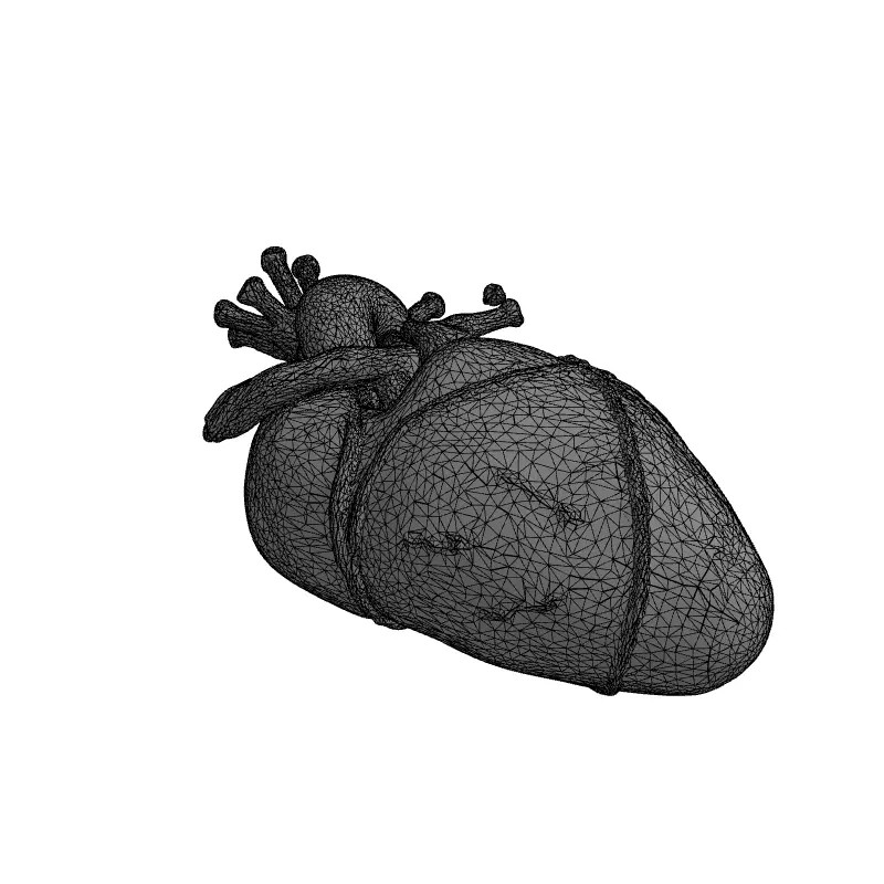 Stylized Human Heart 3D Model – Low Poly Gothic Asset, FBX, PBR - View 3
