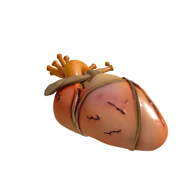 Stylized Human Heart 3D Model – Low Poly Gothic Asset, FBX, PBR - View 5