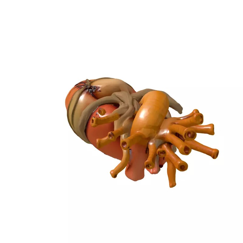 Stylized Human Heart 3D Model – Low Poly Gothic Asset, FBX, PBR - View 7