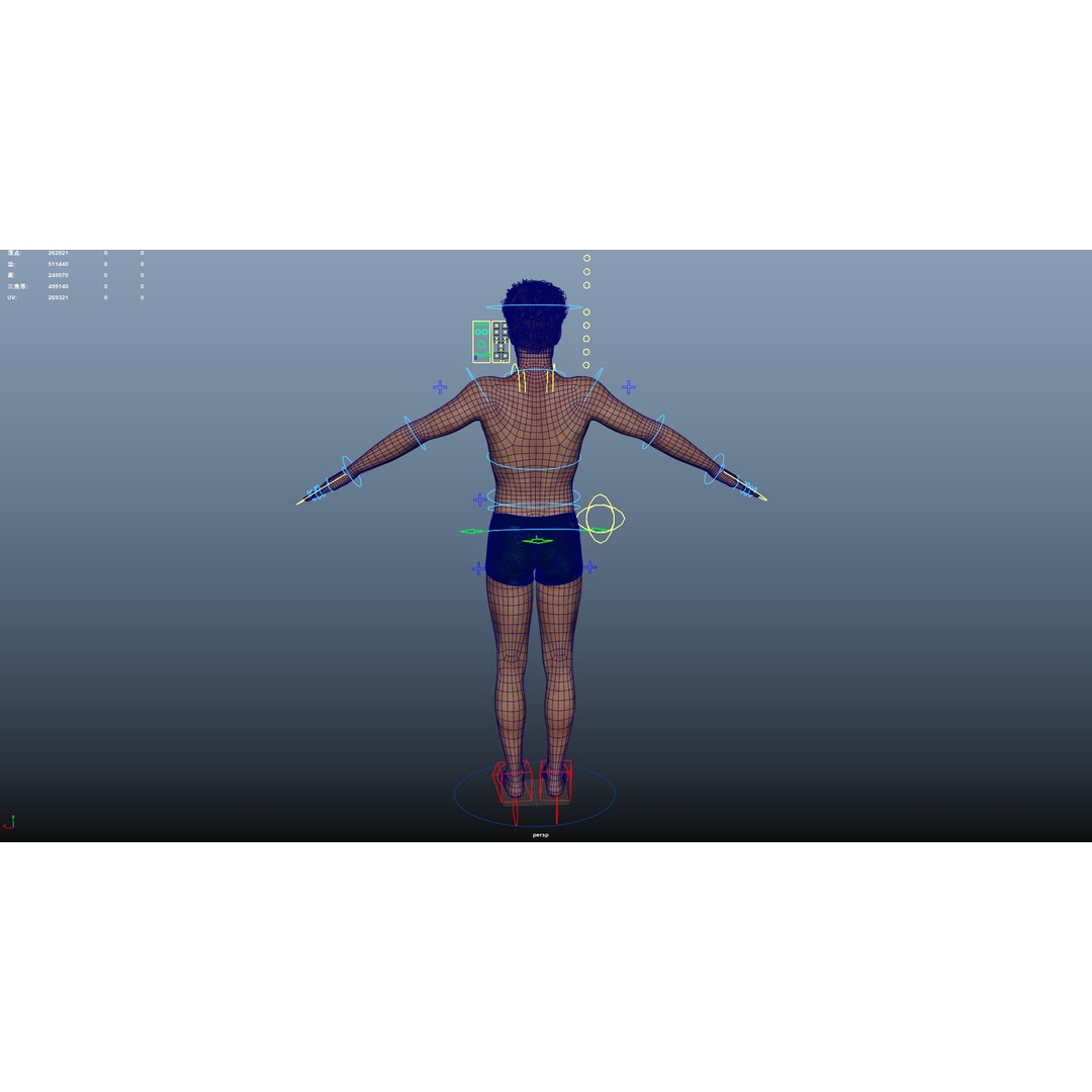 Male Windsurf 3D Model – Low Poly Rigged Character, FBX, OBJ