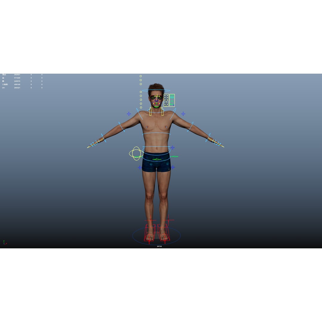 Male Windsurf 3D Model – Low Poly Rigged Character, FBX, OBJ - View 28