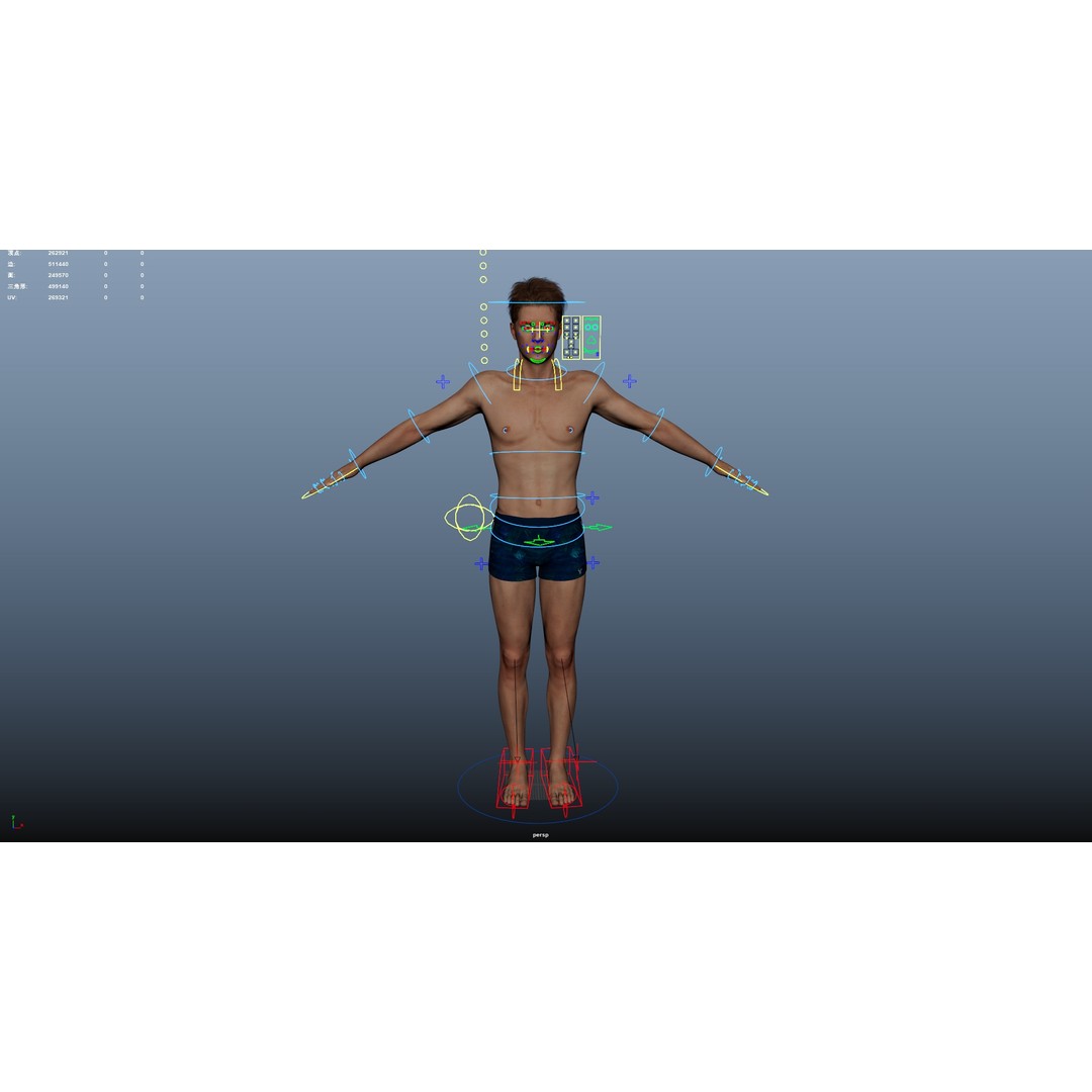 Male Windsurf 3D Model – Low Poly Rigged Character, FBX, OBJ - View 29