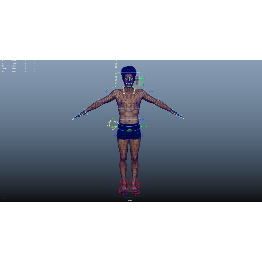 Male Windsurf 3D Model – Low Poly Rigged Character, FBX, OBJ - View 30