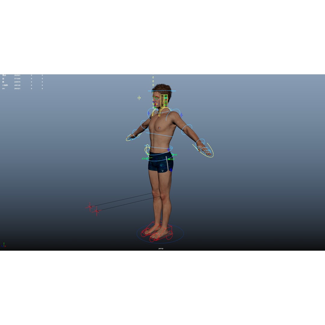 Male Windsurf 3D Model – Low Poly Rigged Character, FBX, OBJ - View 31