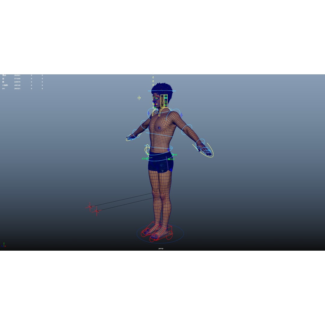 Male Windsurf 3D Model – Low Poly Rigged Character, FBX, OBJ - View 32