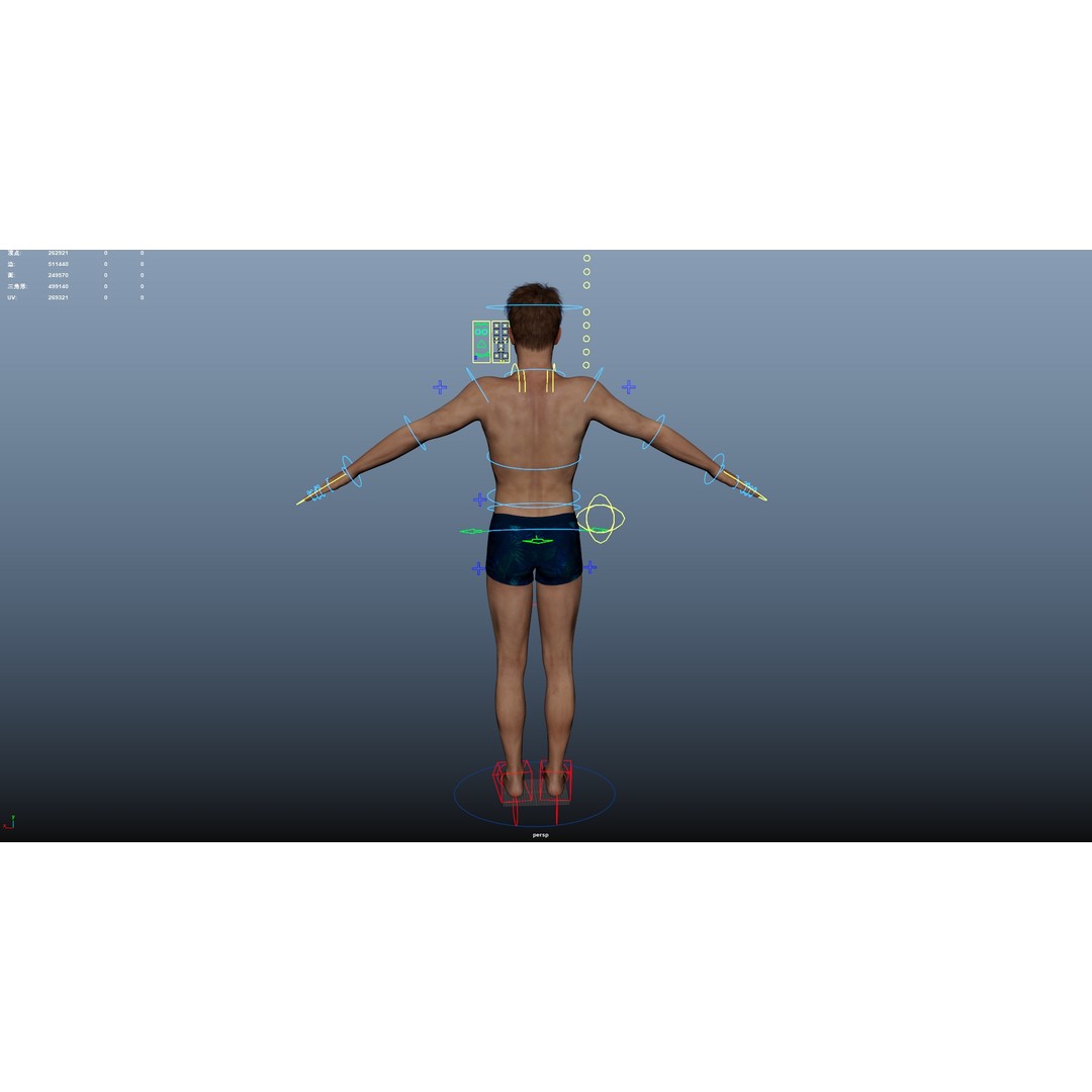 Male Windsurf 3D Model – Low Poly Rigged Character, FBX, OBJ - View 33