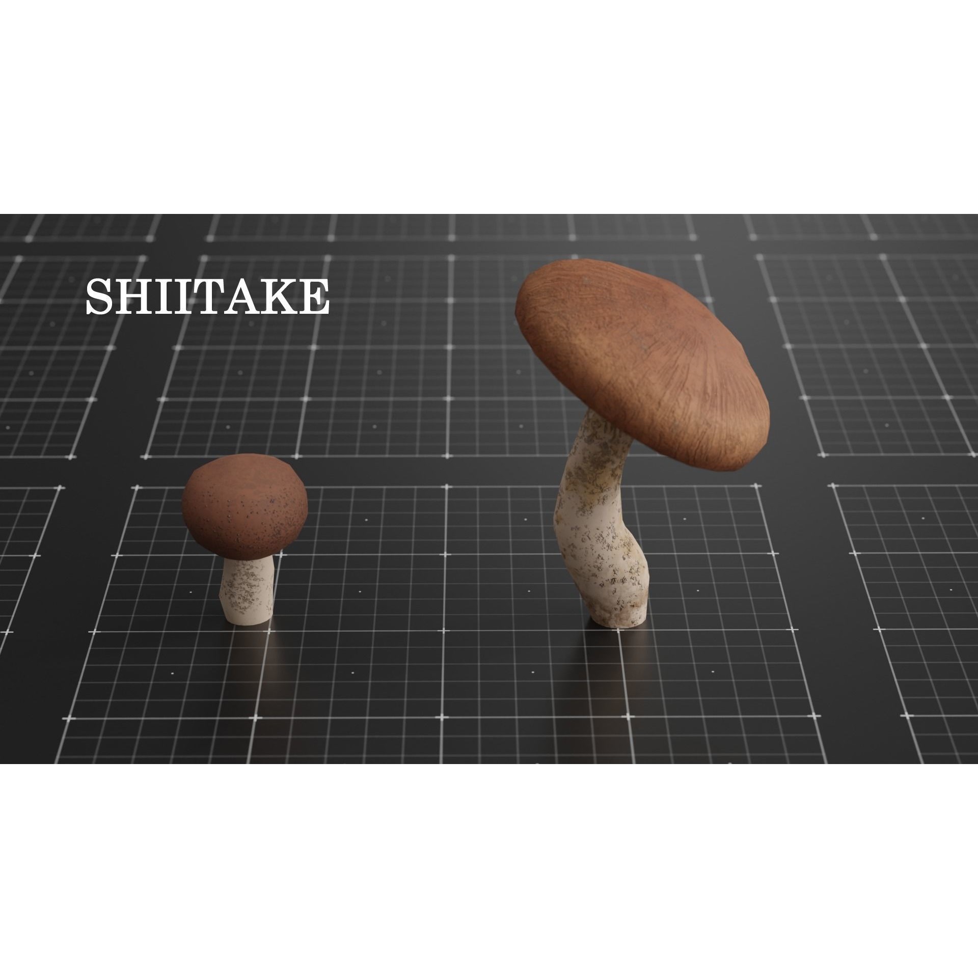 15 Species Mushrooms - Low-Poly Game-Ready 3D Model - View 10