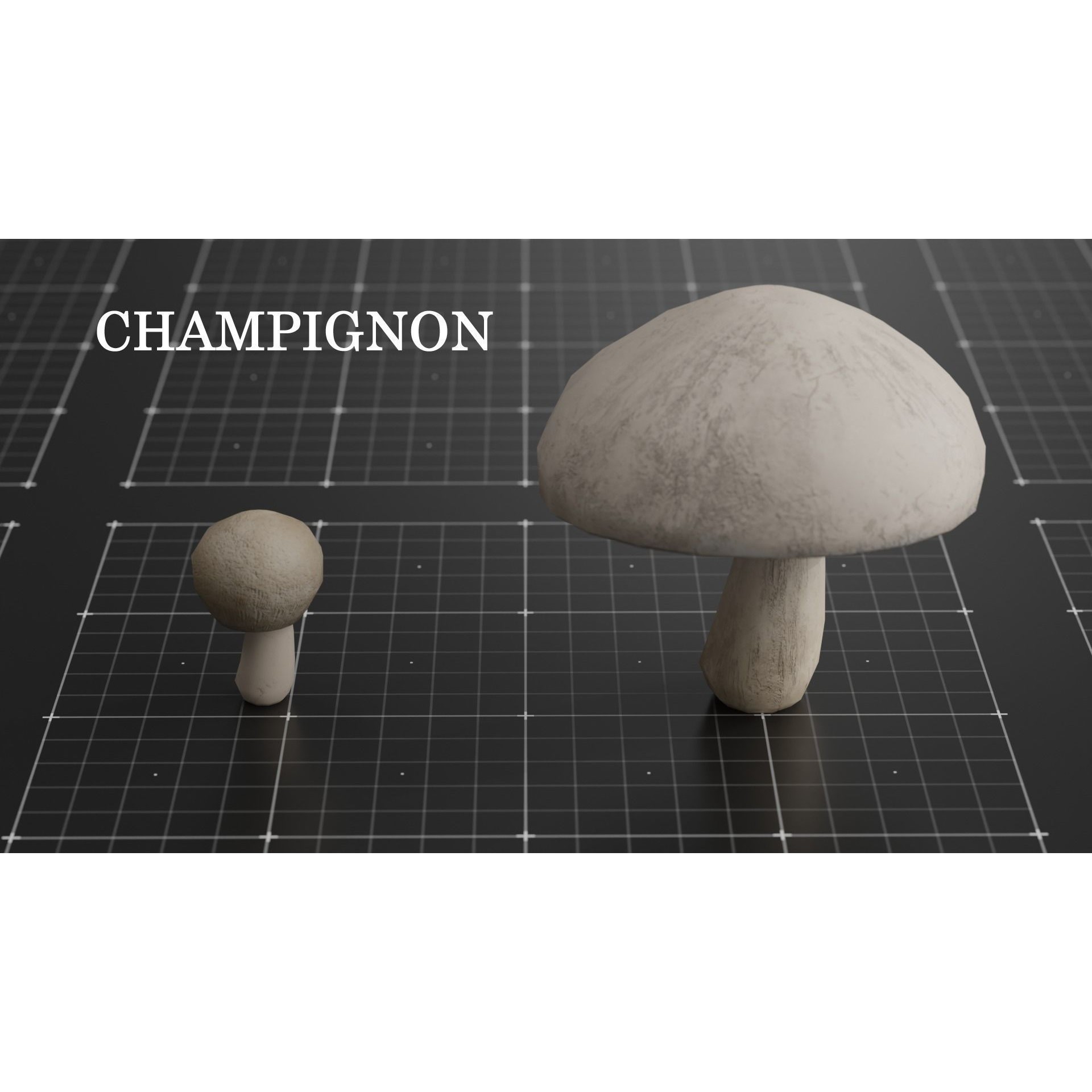 15 Species Mushrooms - Low-Poly Game-Ready 3D Model - View 12