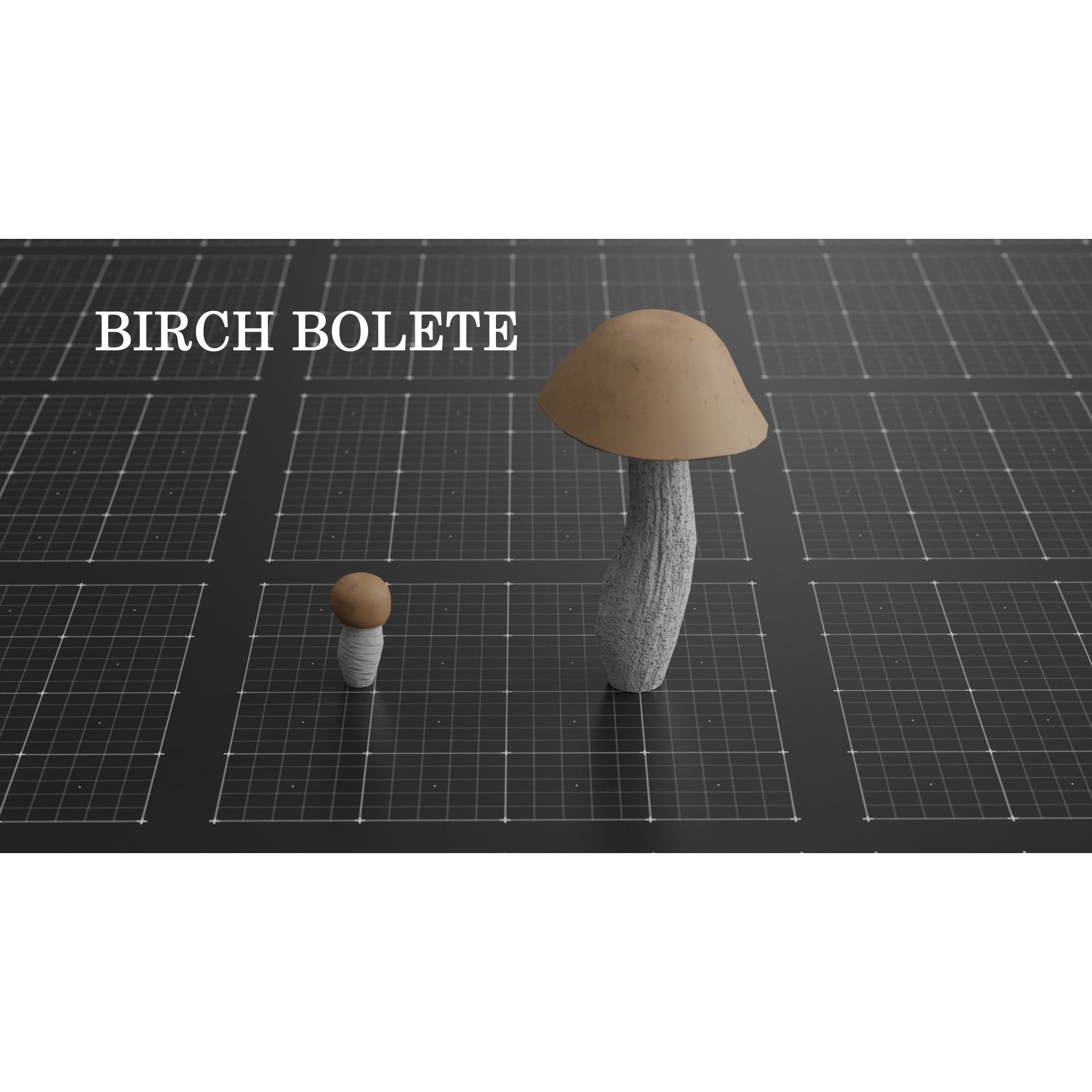15 Species Mushrooms - Low-Poly Game-Ready 3D Model - View 13