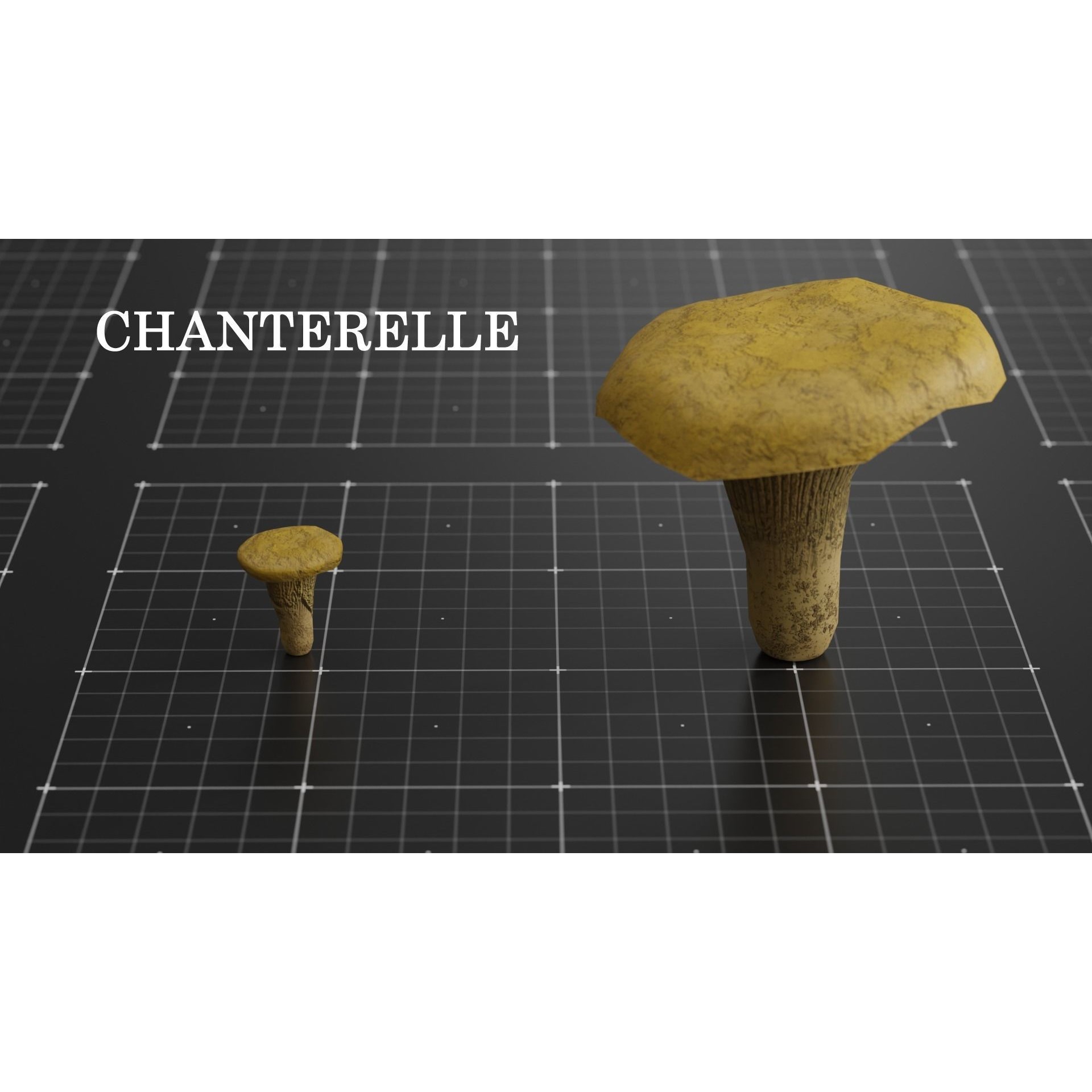 15 Species Mushrooms - Low-Poly Game-Ready 3D Model - View 14