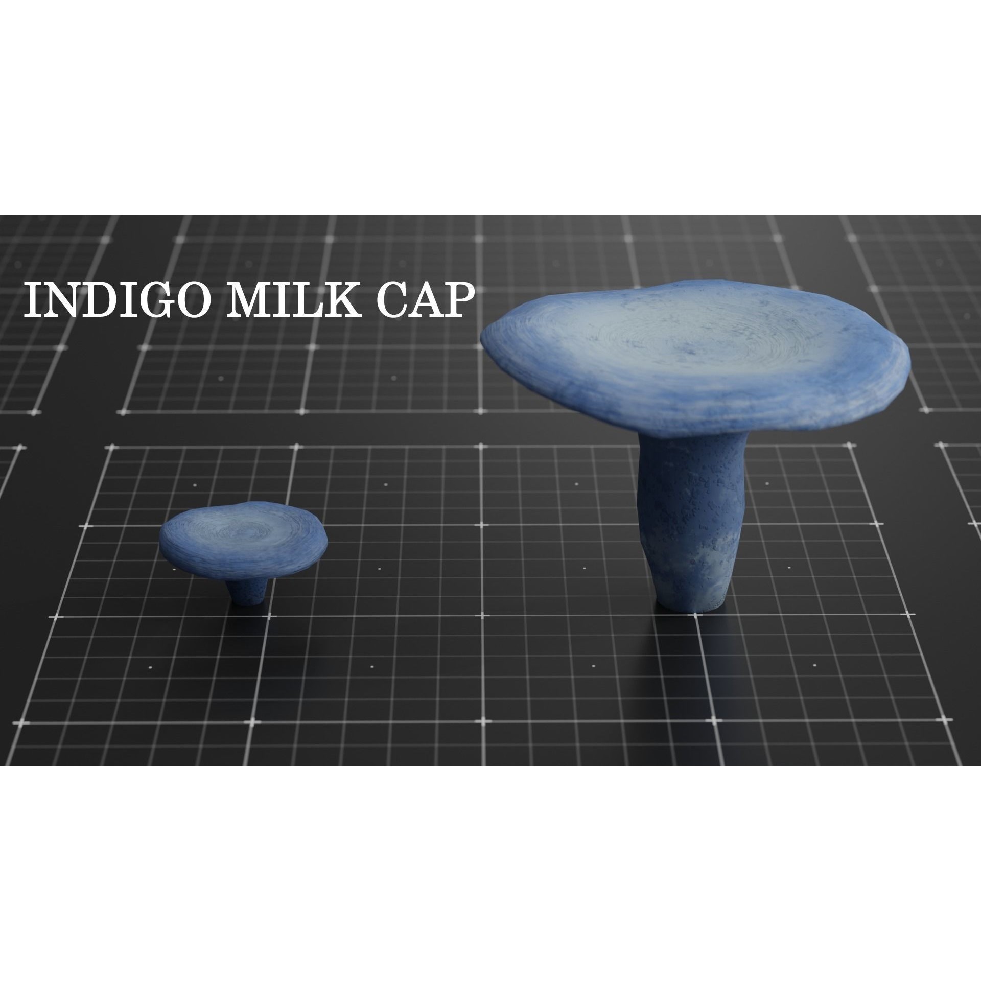 15 Species Mushrooms - Low-Poly Game-Ready 3D Model - View 16
