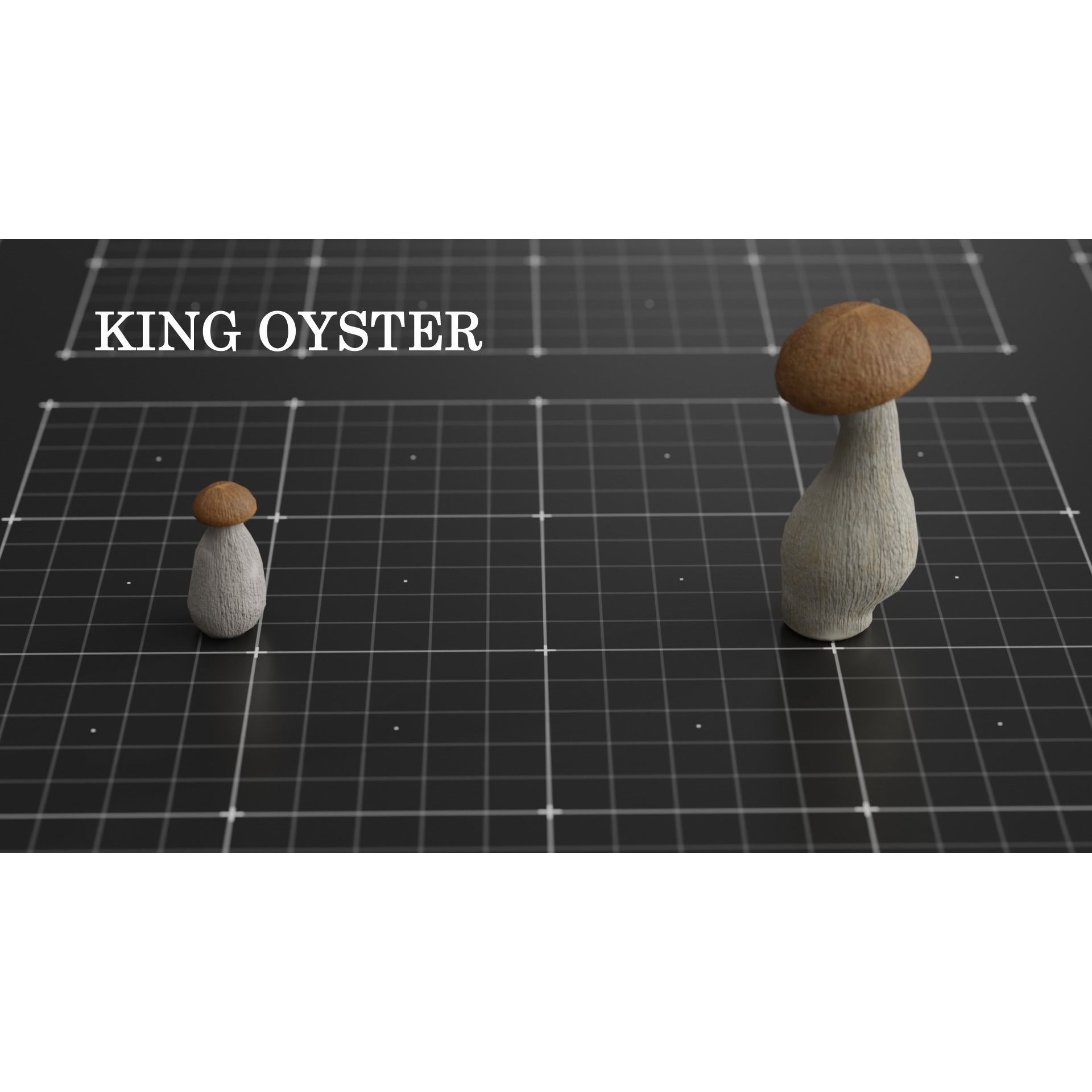 15 Species Mushrooms - Low-Poly Game-Ready 3D Model - View 17