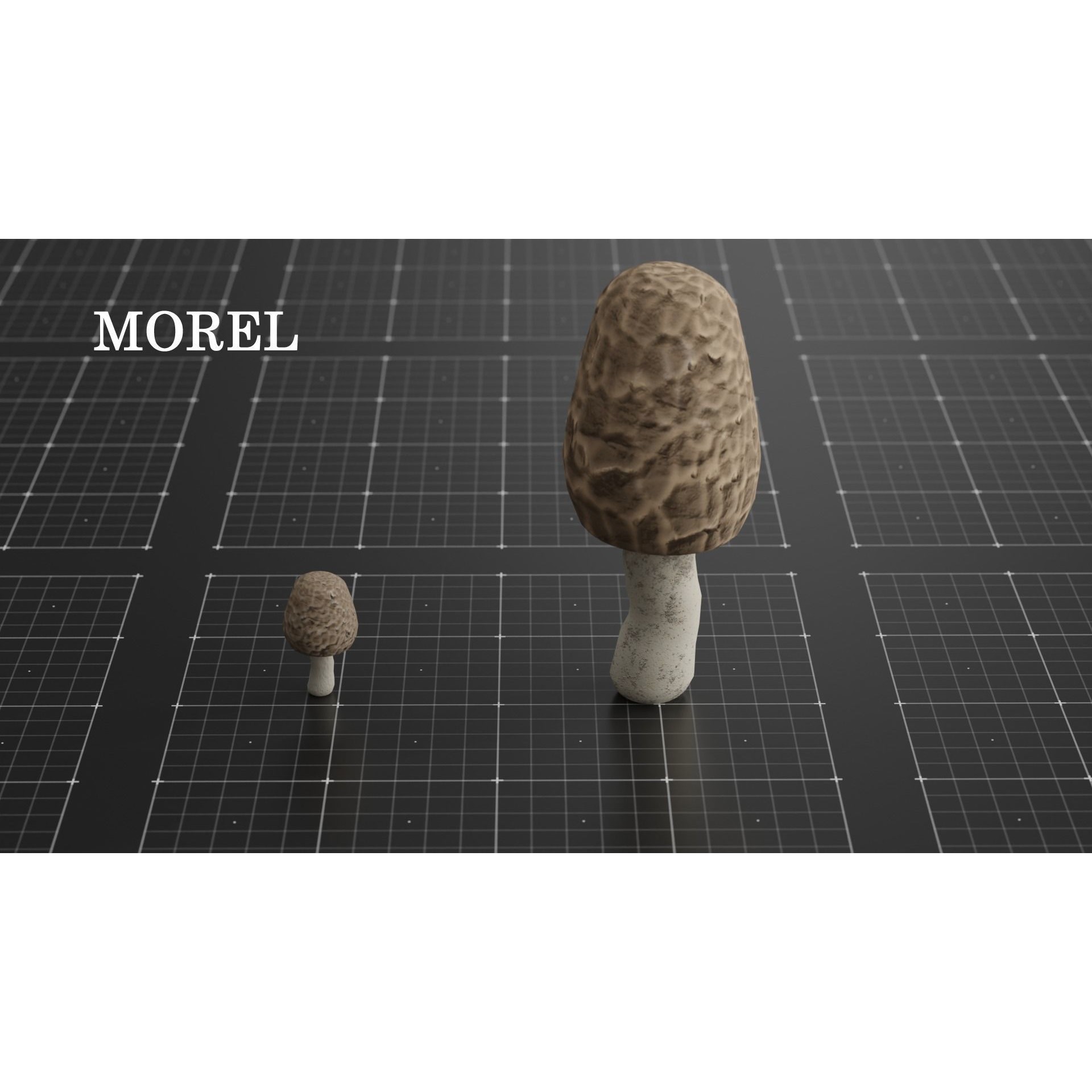 15 Species Mushrooms - Low-Poly Game-Ready 3D Model - View 19