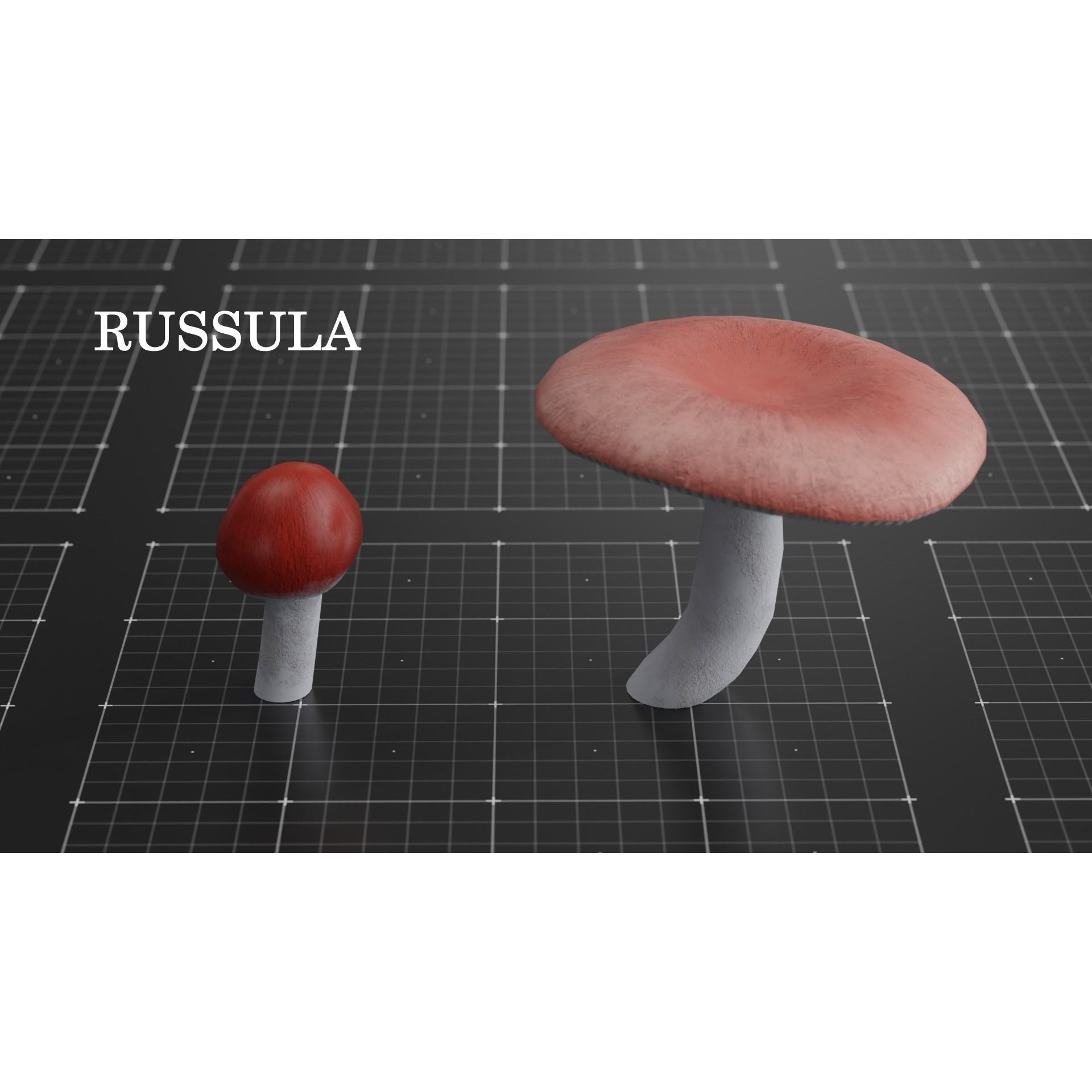 15 Species Mushrooms - Low-Poly Game-Ready 3D Model - View 22