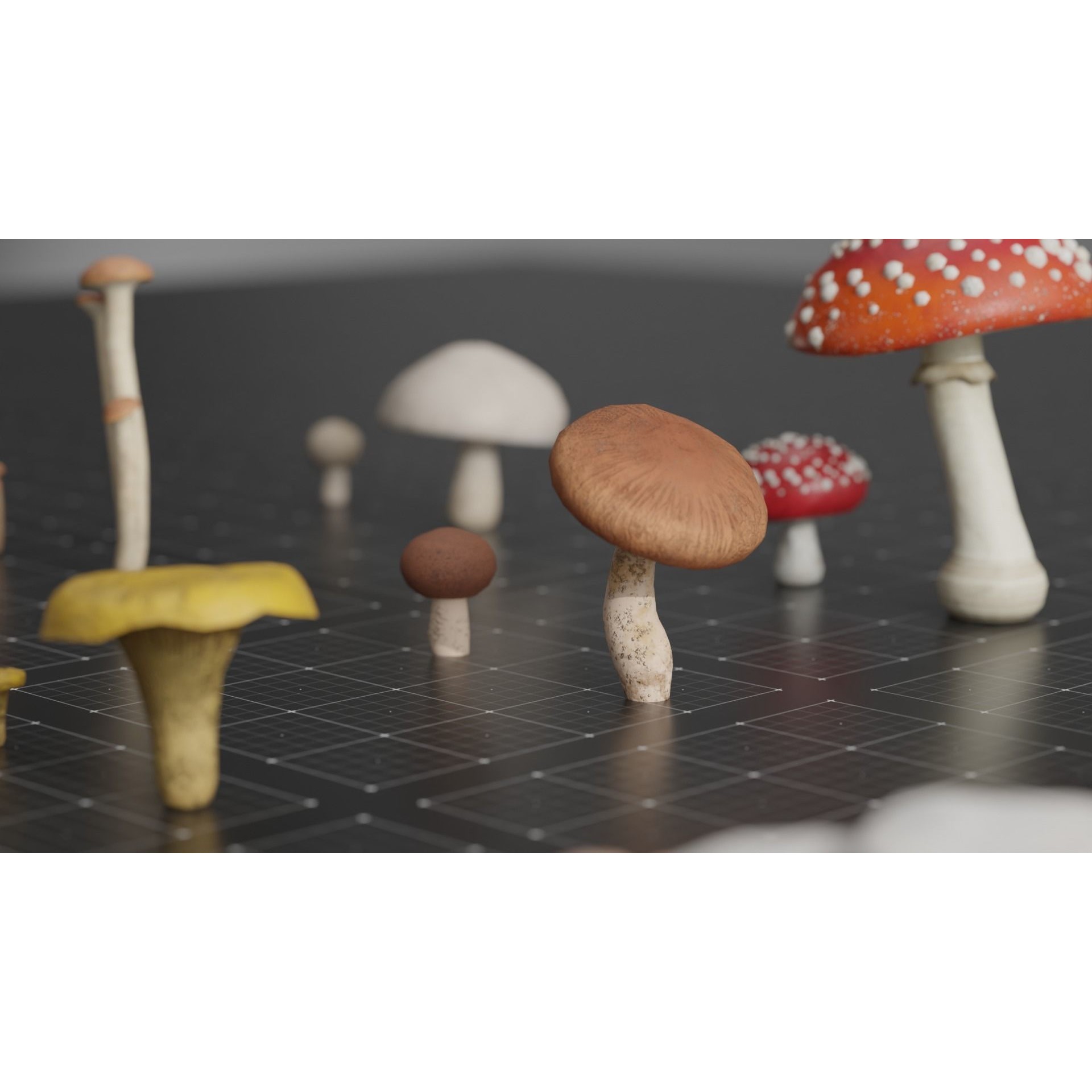 15 Species Mushrooms - Low-Poly Game-Ready 3D Model - View 4