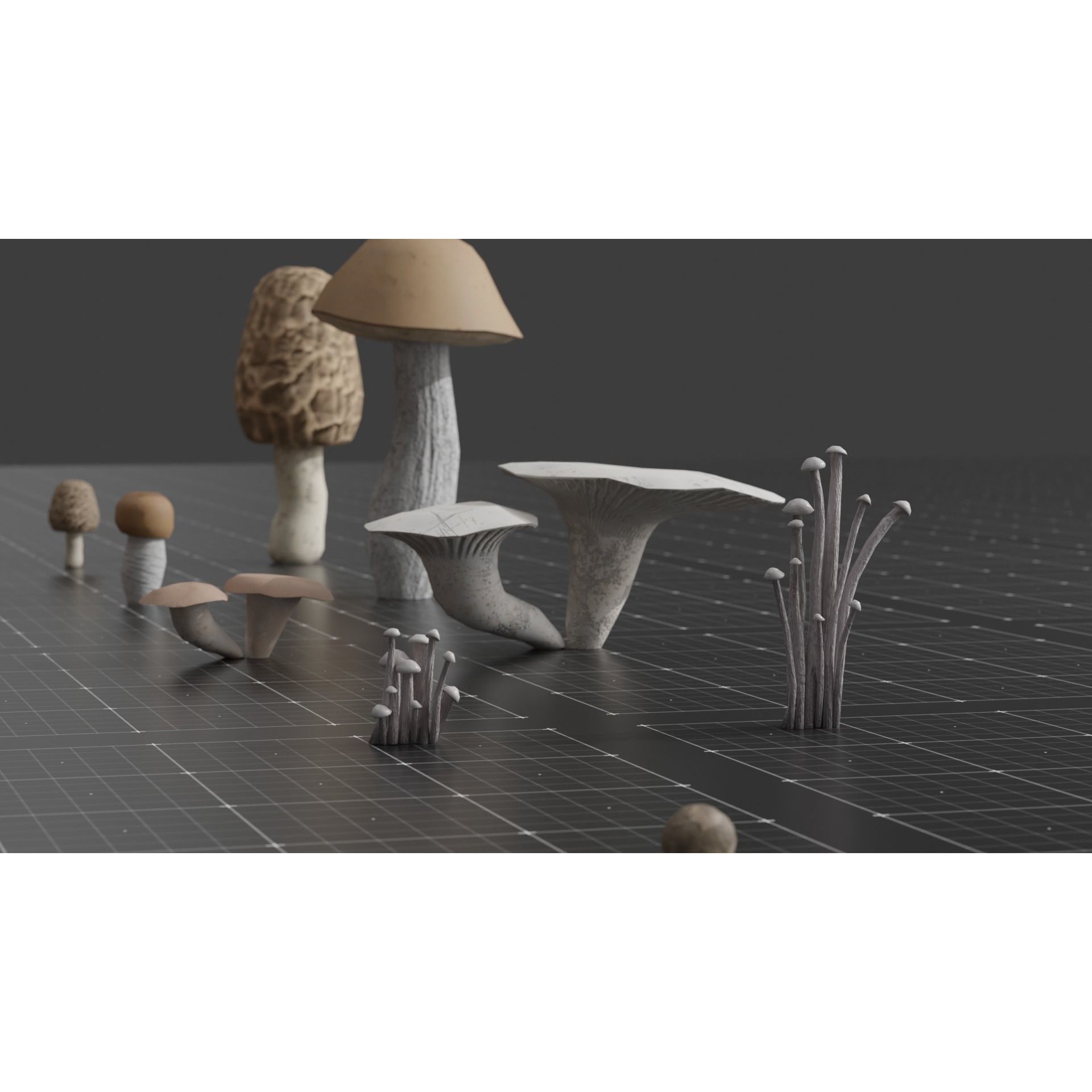 15 Species Mushrooms - Low-Poly Game-Ready 3D Model - View 7