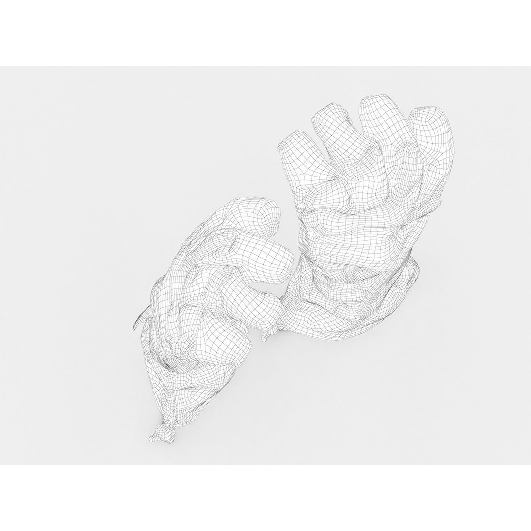 Ski Gloves 3D Model – Realistic Photogrammetry Asset, FBX, OBJ