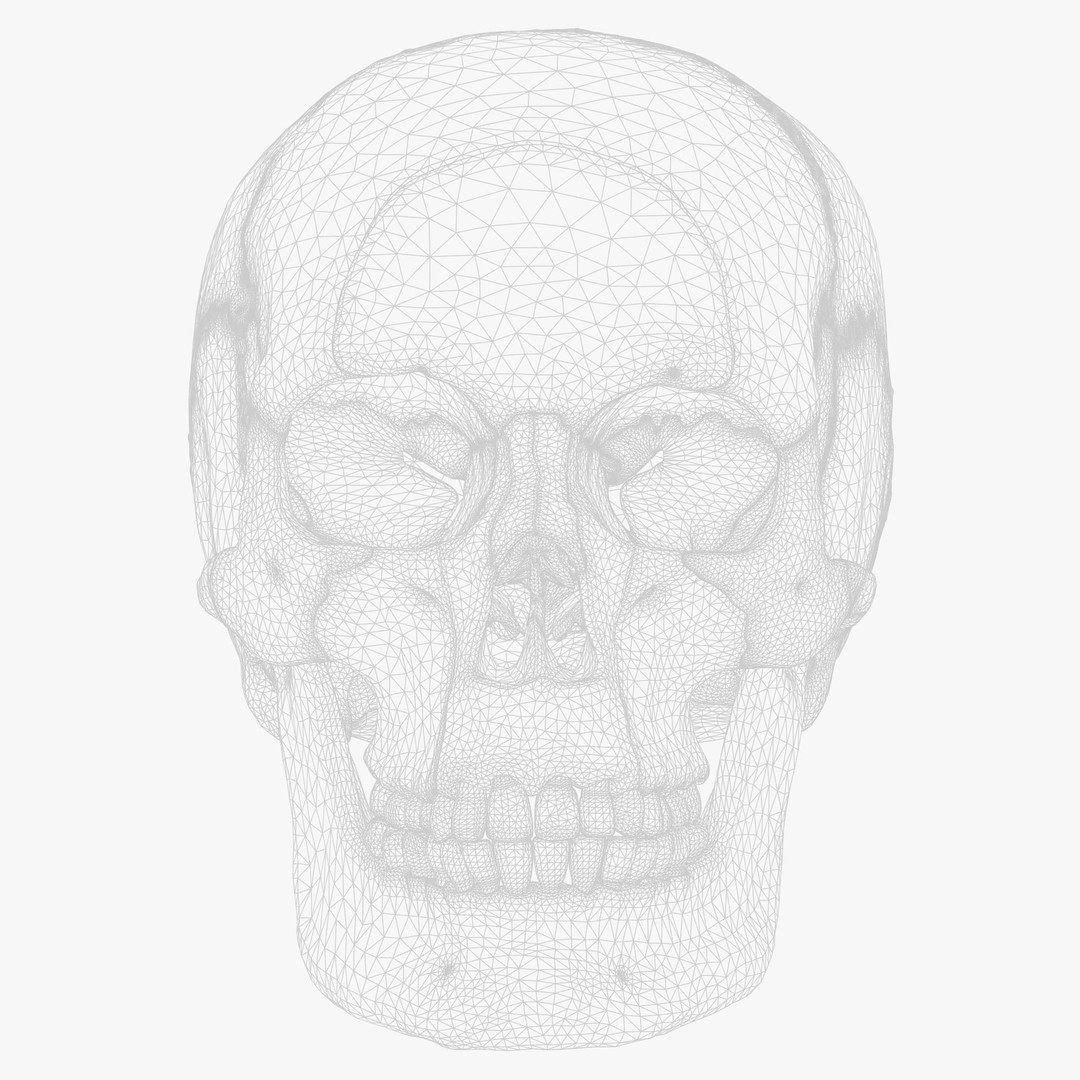 Human Skull Explode Anatomy Atlas 3D Model – High Poly PBR with Detailed Textures - View 10