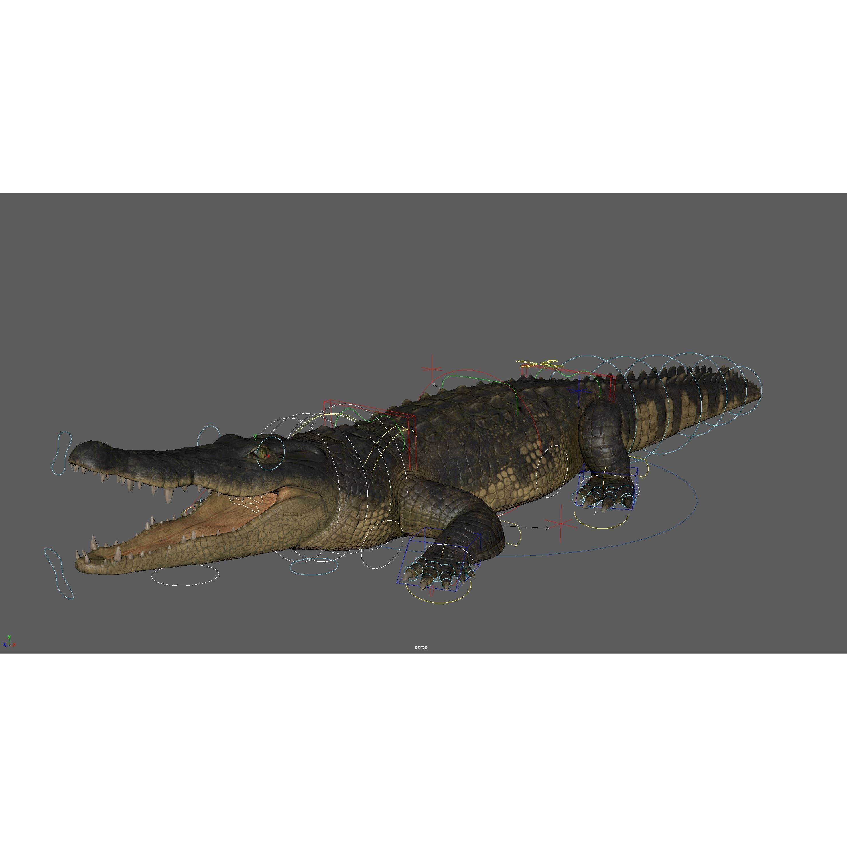 Realistic Crocodile Rig - Game-Ready 3D Model - View 10