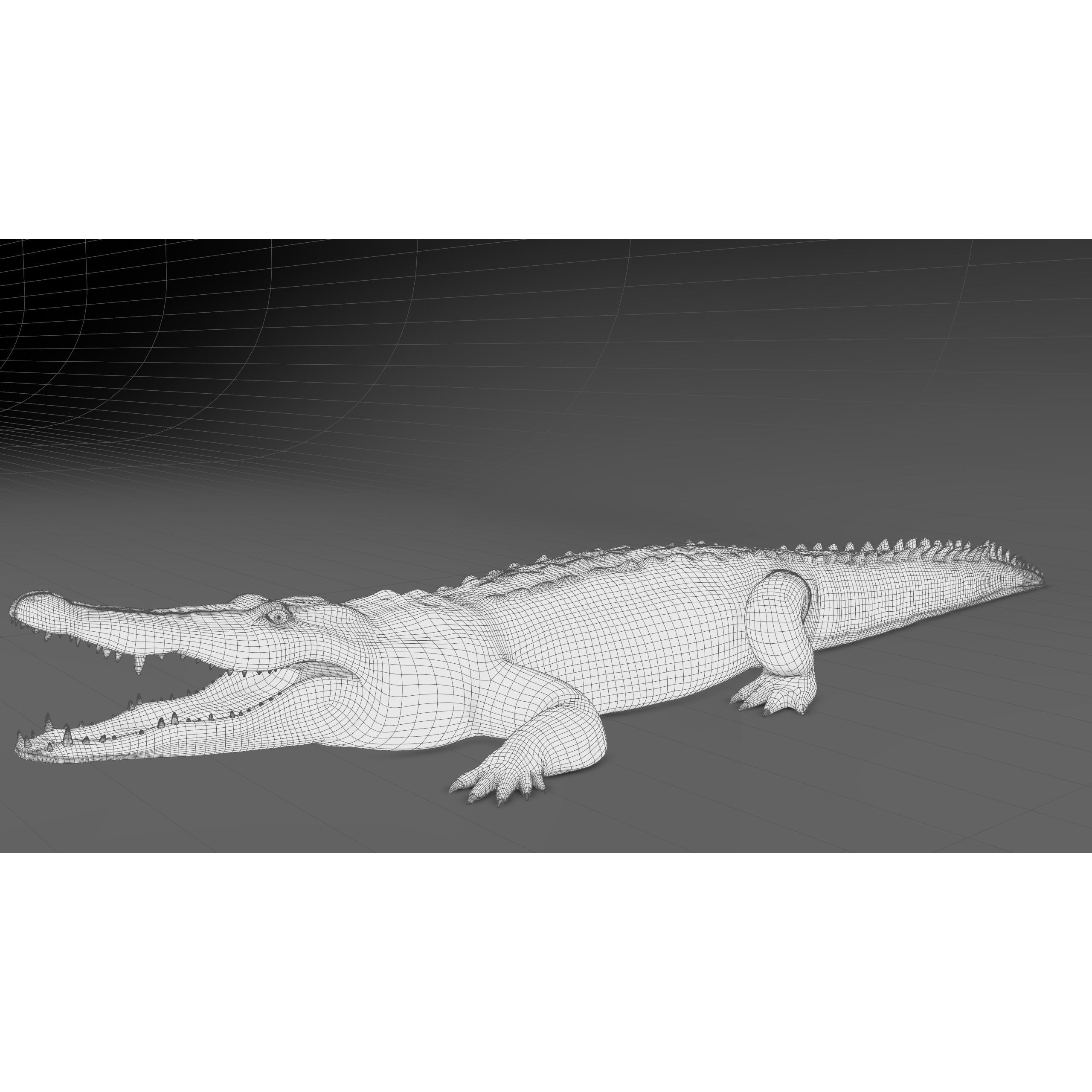 Realistic Crocodile Rig - Game-Ready 3D Model - View 22