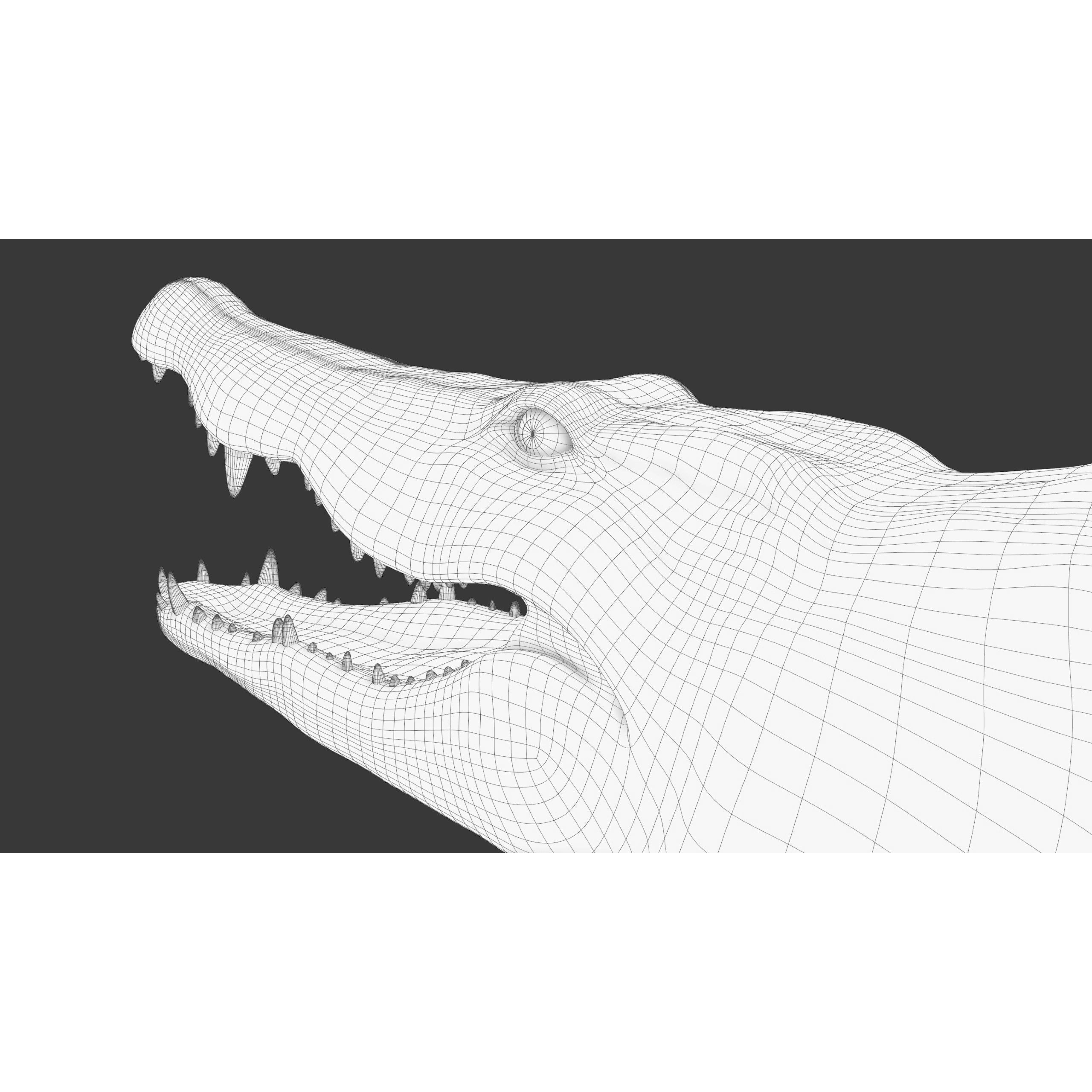 Realistic Crocodile Rig - Game-Ready 3D Model - View 24