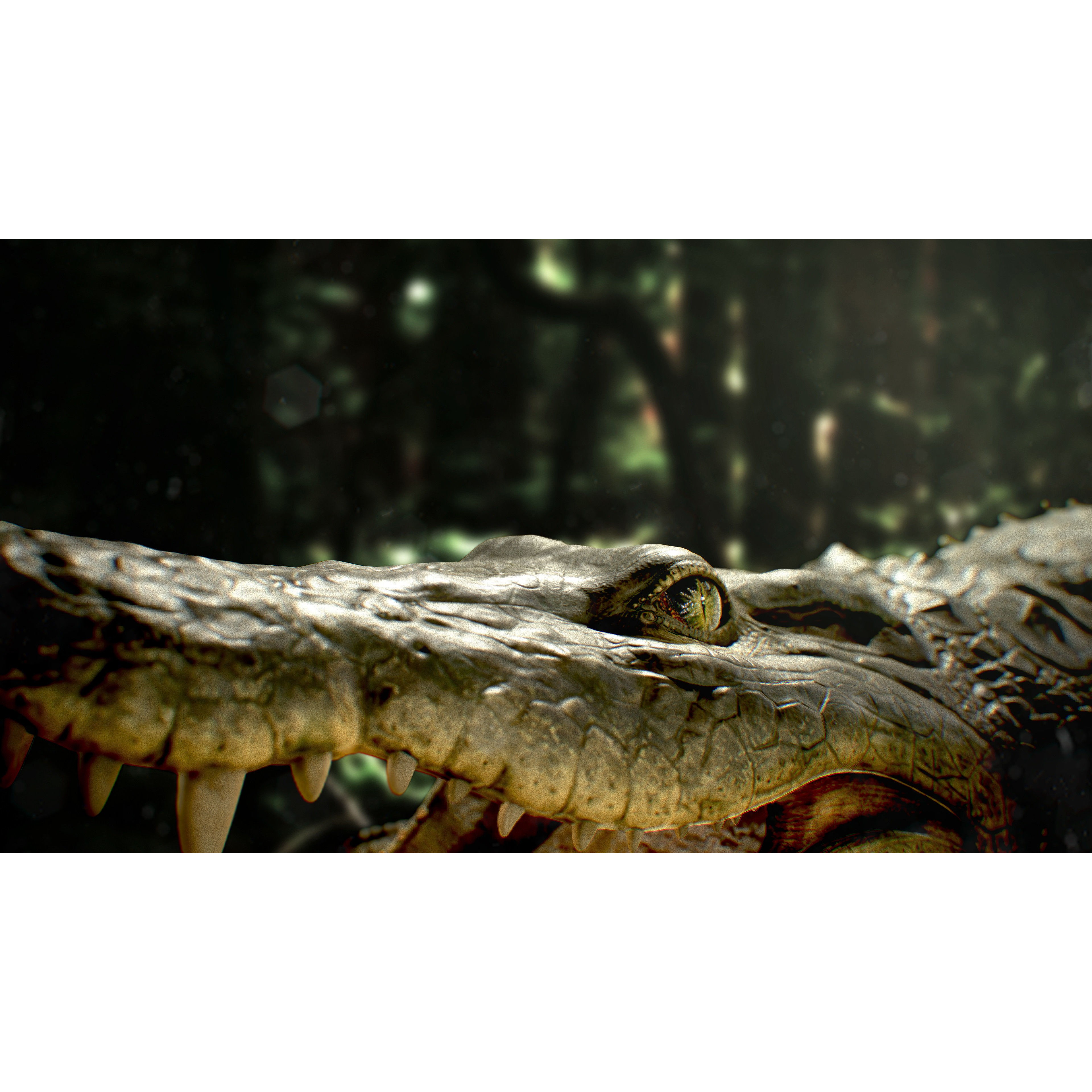 Realistic Crocodile Rig - Game-Ready 3D Model - View 3