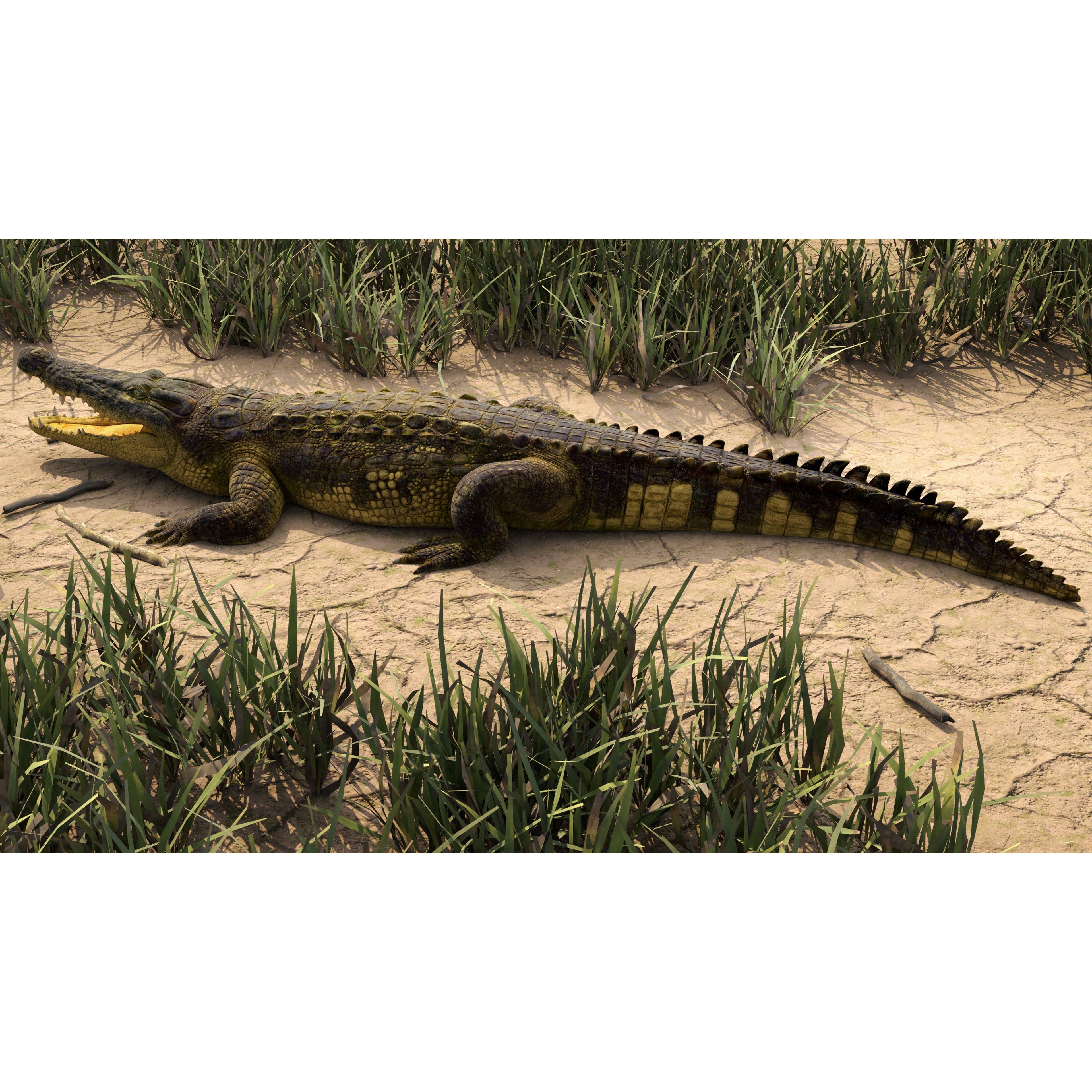 Realistic Crocodile Rig - Game-Ready 3D Model - View 5