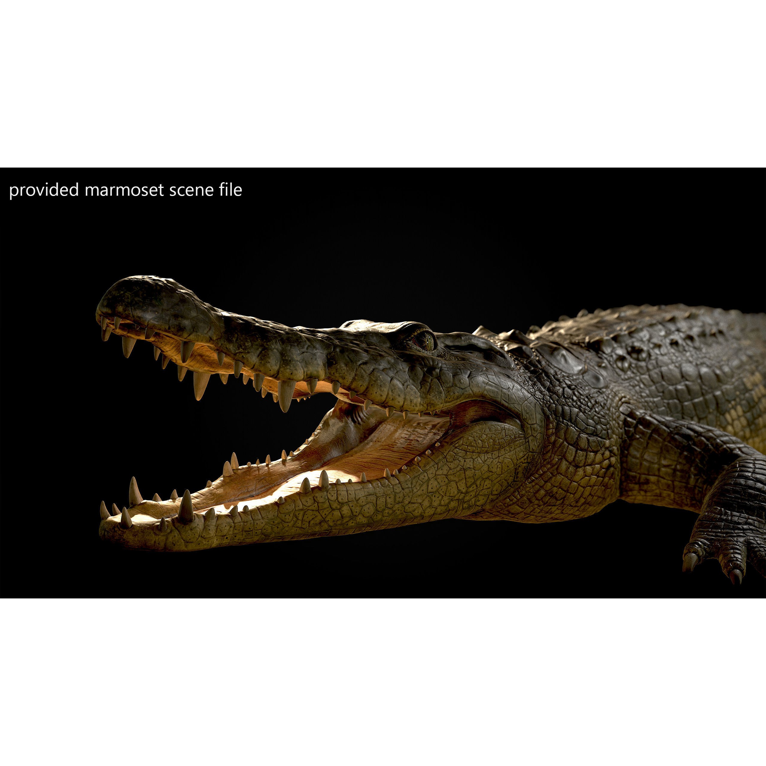 Realistic Crocodile Rig - Game-Ready 3D Model - View 9